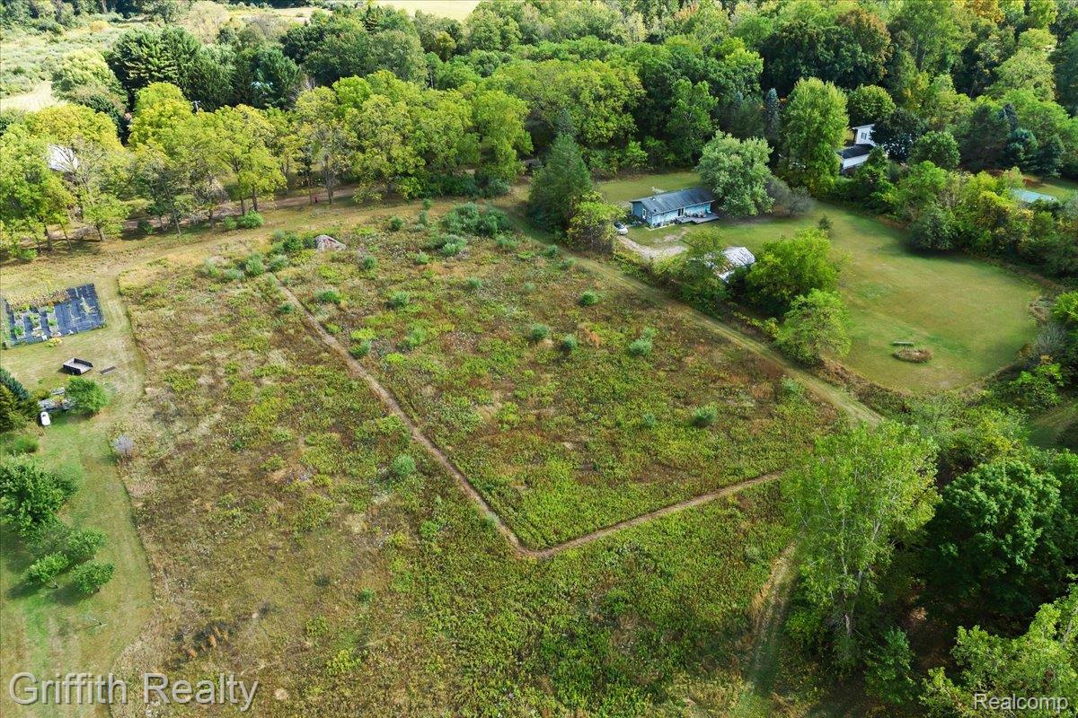 9800 Beeman Road Lyndon Township MI 48118
