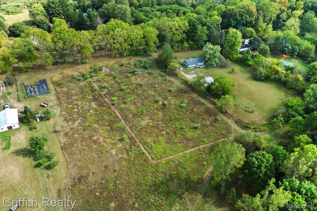 9800 Beeman Road Lyndon Township MI 48118
