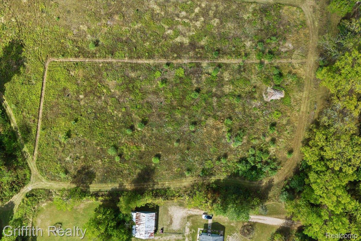 9800 Beeman Road Lyndon Township MI 48118
