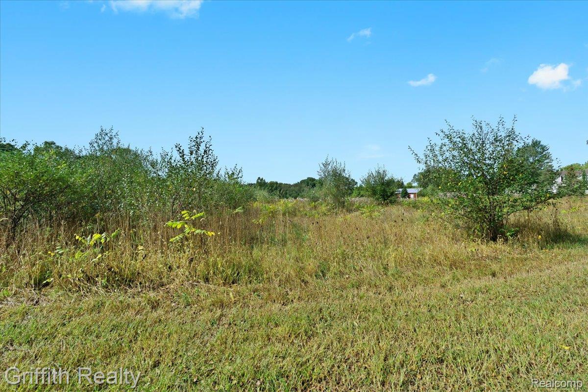 9800 Beeman Road Lyndon Township MI 48118