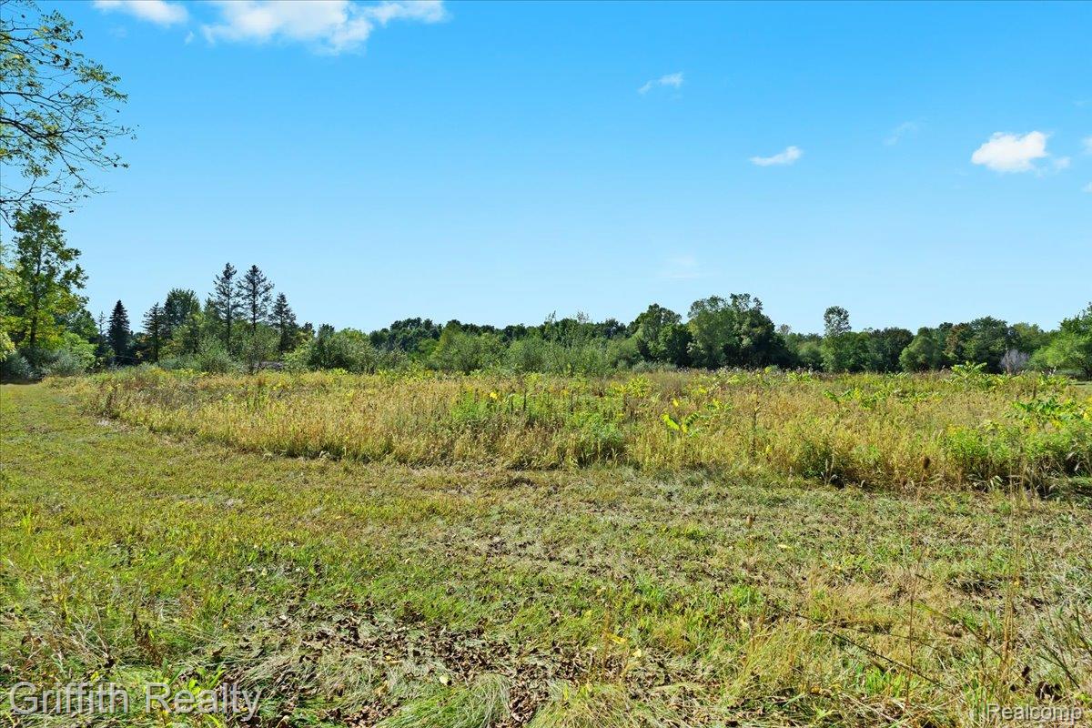 9800 Beeman Road Lyndon Township MI 48118