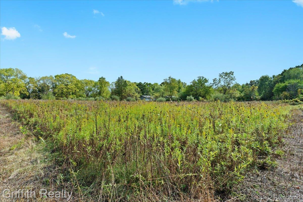 9800 Beeman Road Lyndon Township MI 48118