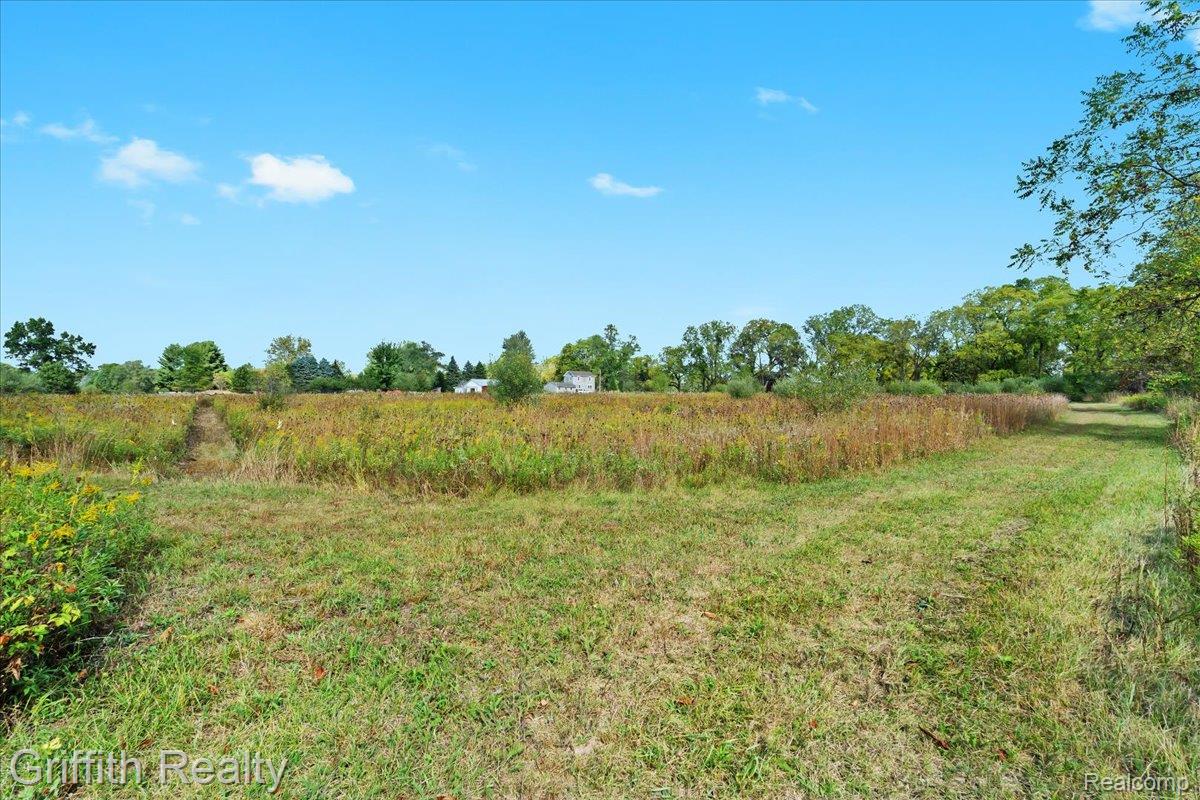 9800 Beeman Road Lyndon Township MI 48118