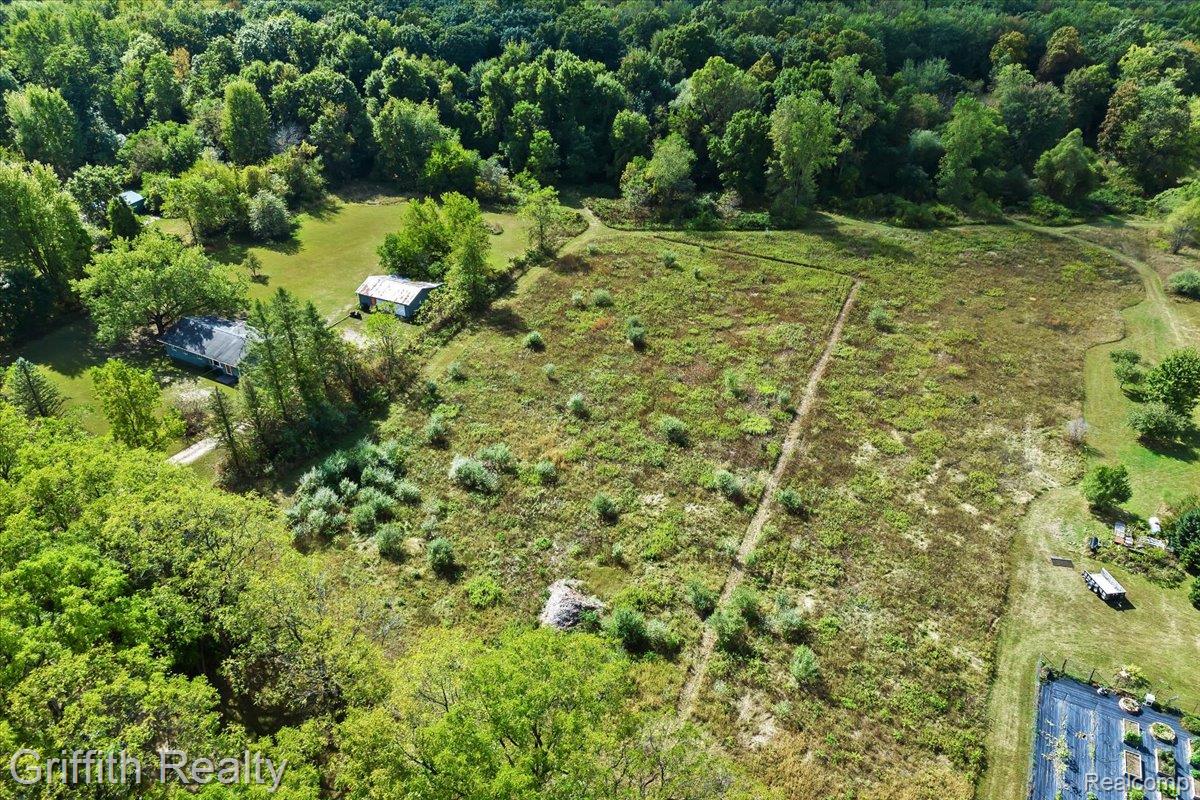 9800 Beeman Road Lyndon Township MI 48118