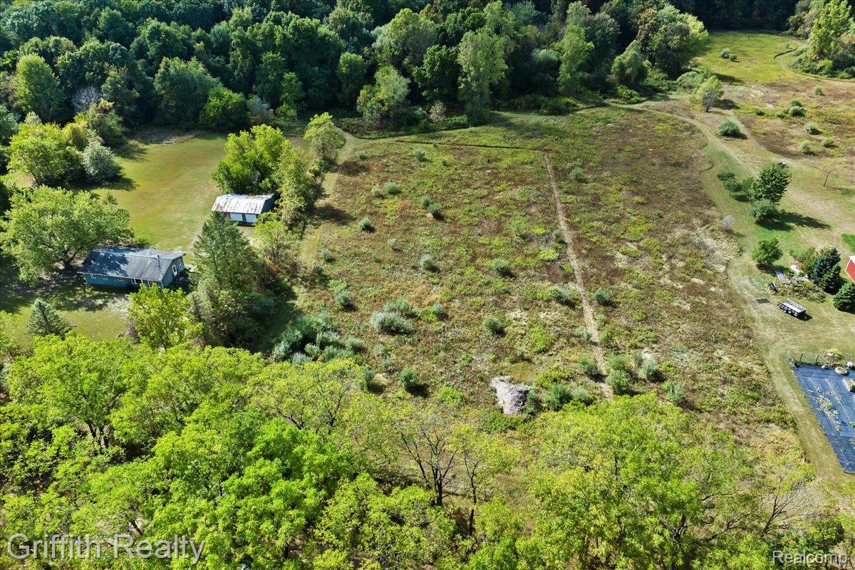 9800 Beeman Road Lyndon Township MI 48118