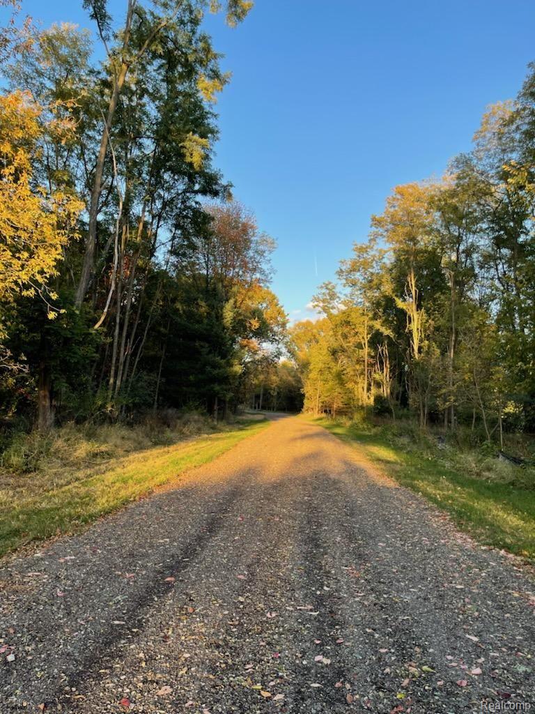 11663 Colangelo Lane Hamburg Township MI 48189