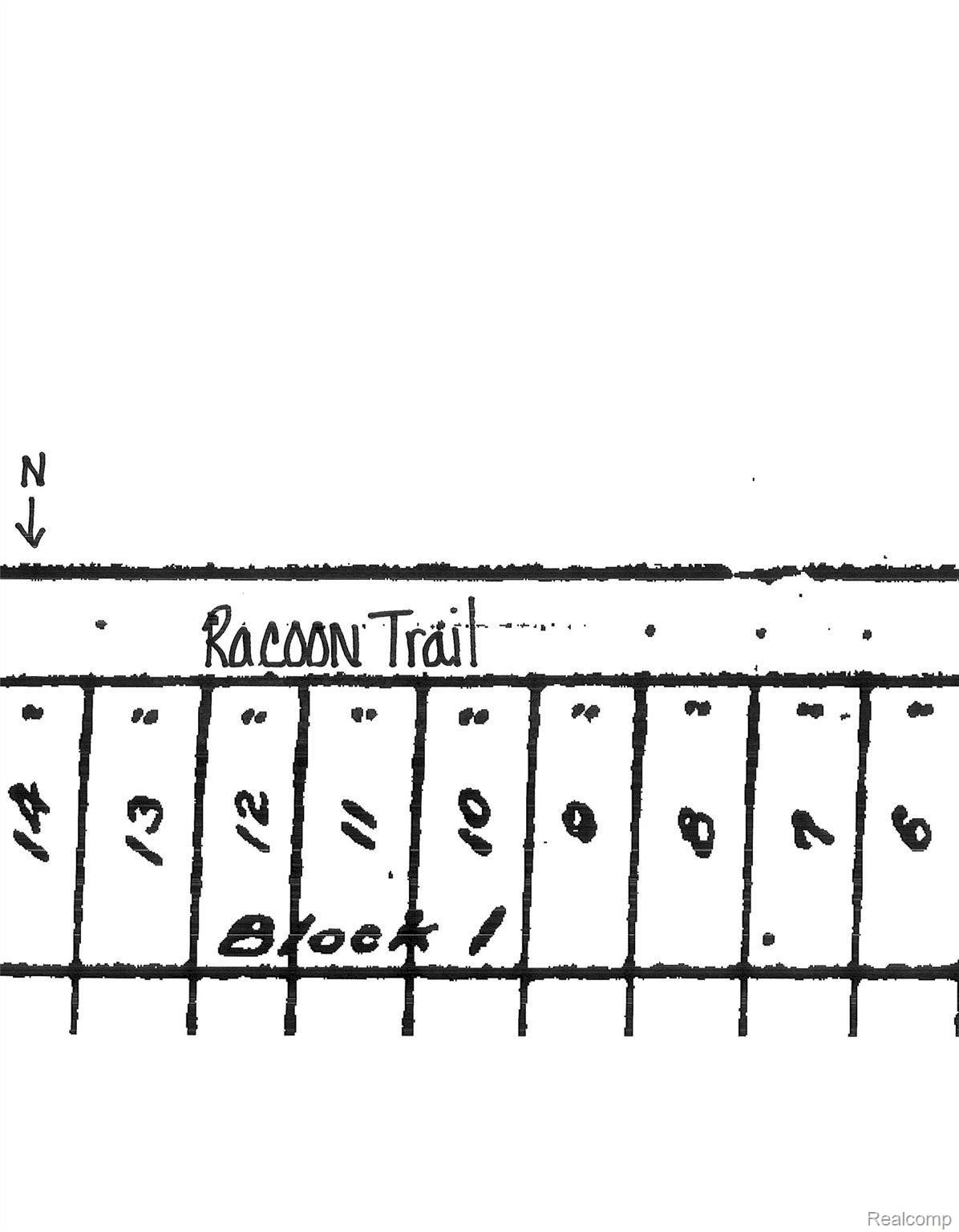 0 Racoon Trail Alcona Township MI 48742