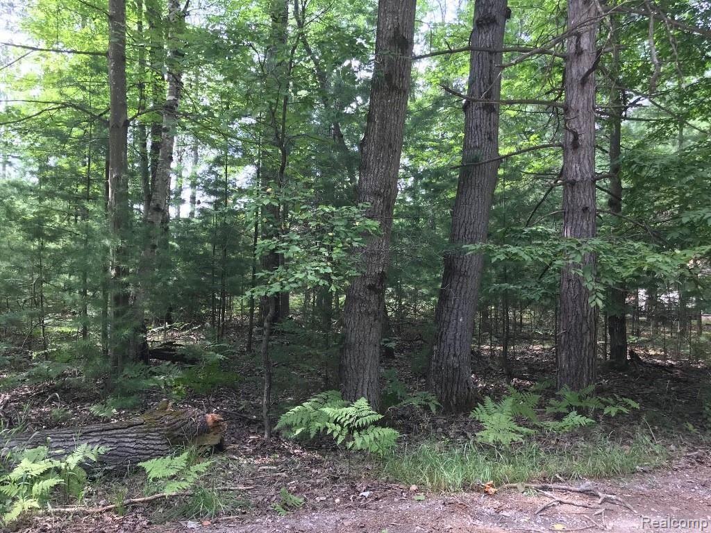 0 Racoon Trail Alcona Township MI 48742