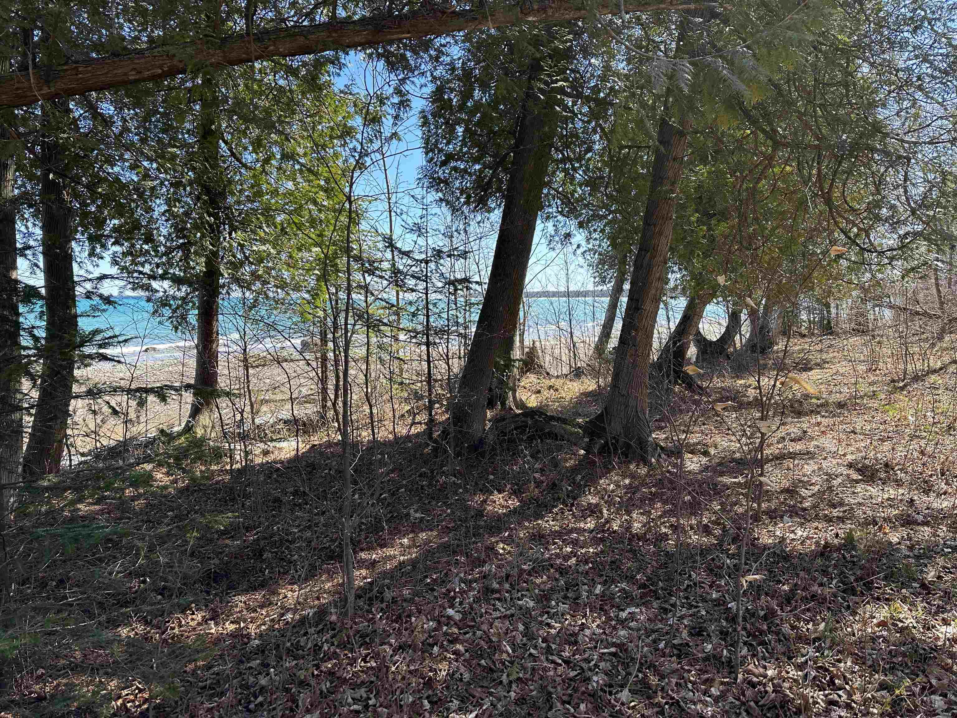 Tbd Beaver Island Road St. James Township MI 49782