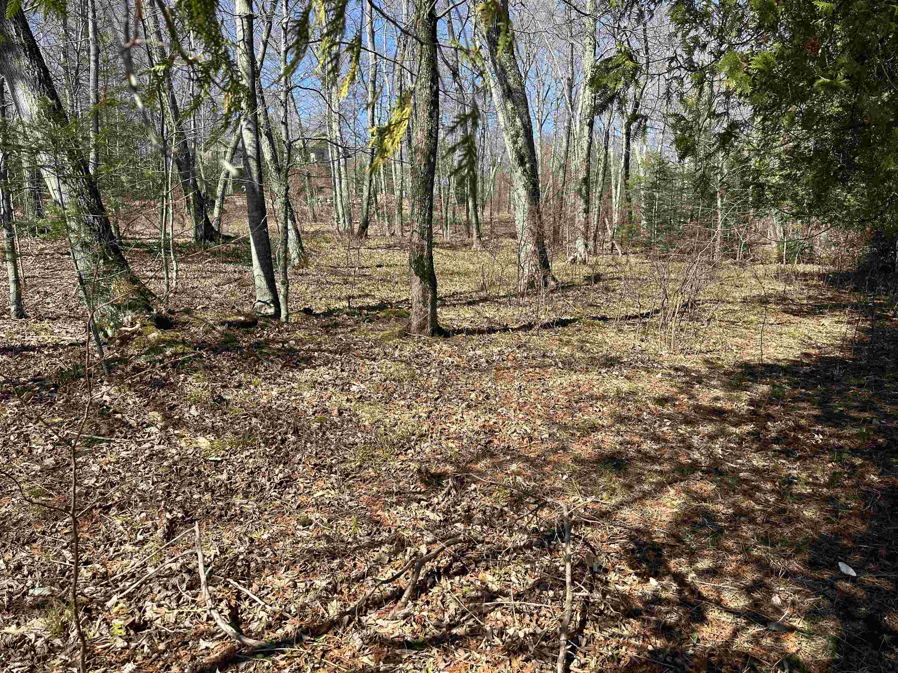 Tbd Beaver Island Road St. James Township MI 49782