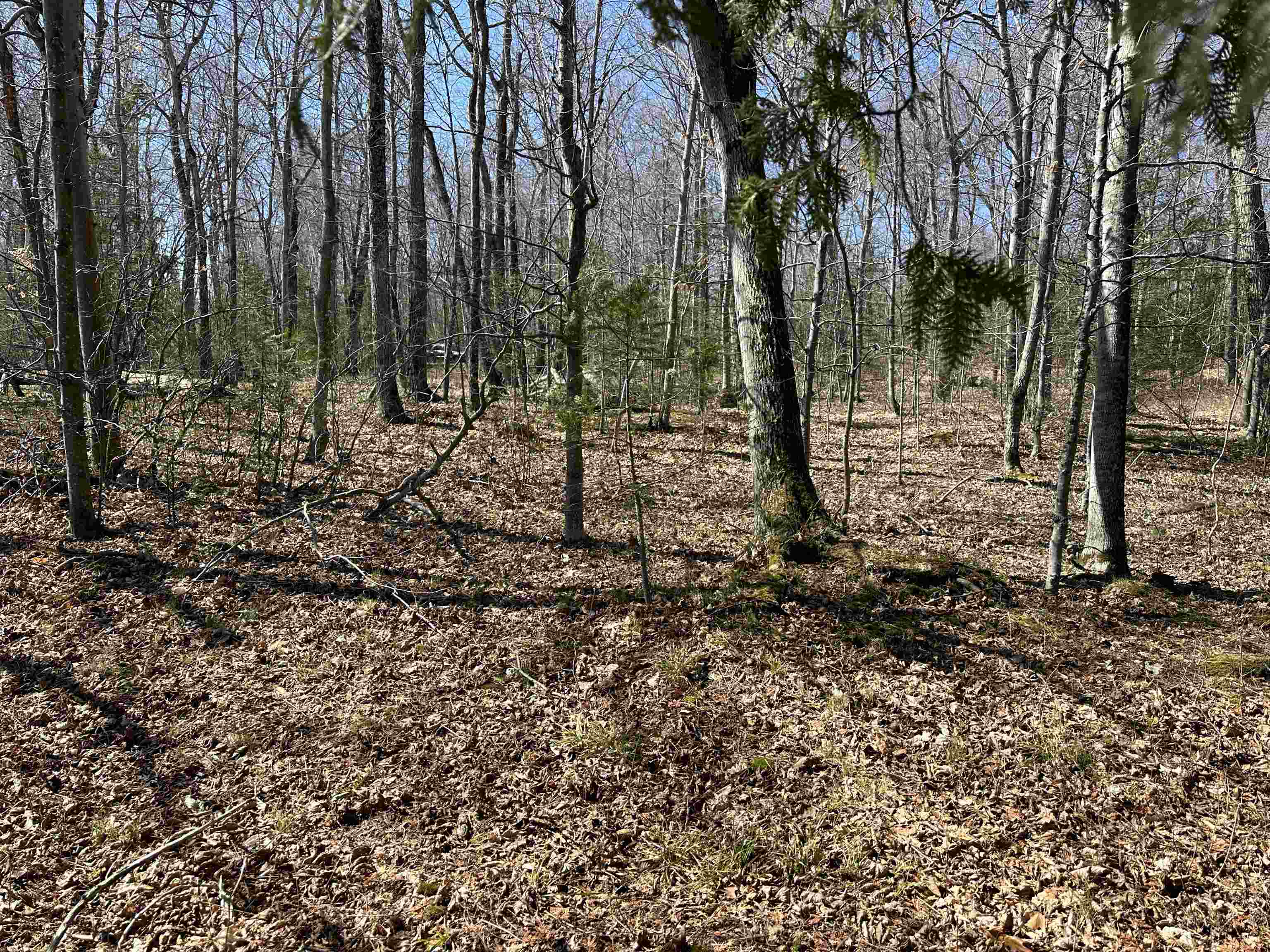 Tbd Beaver Island Road St. James Township MI 49782