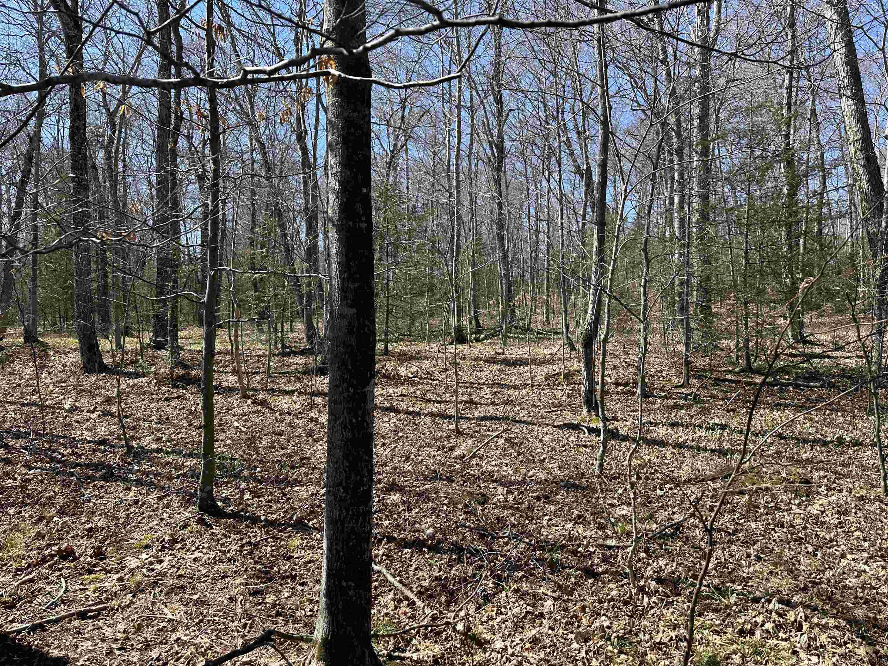 Tbd Beaver Island Road St. James Township MI 49782