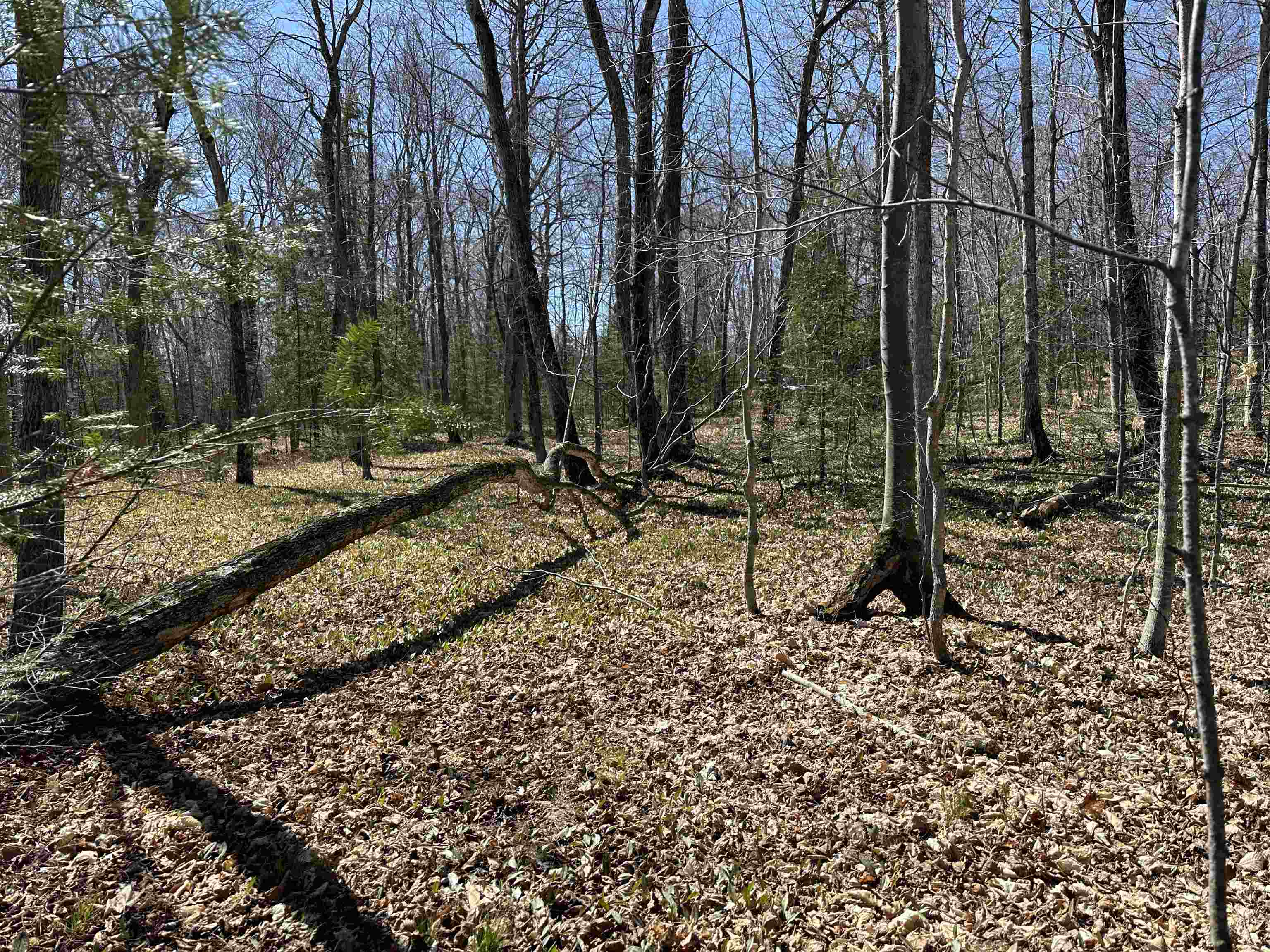 Tbd Beaver Island Road St. James Township MI 49782