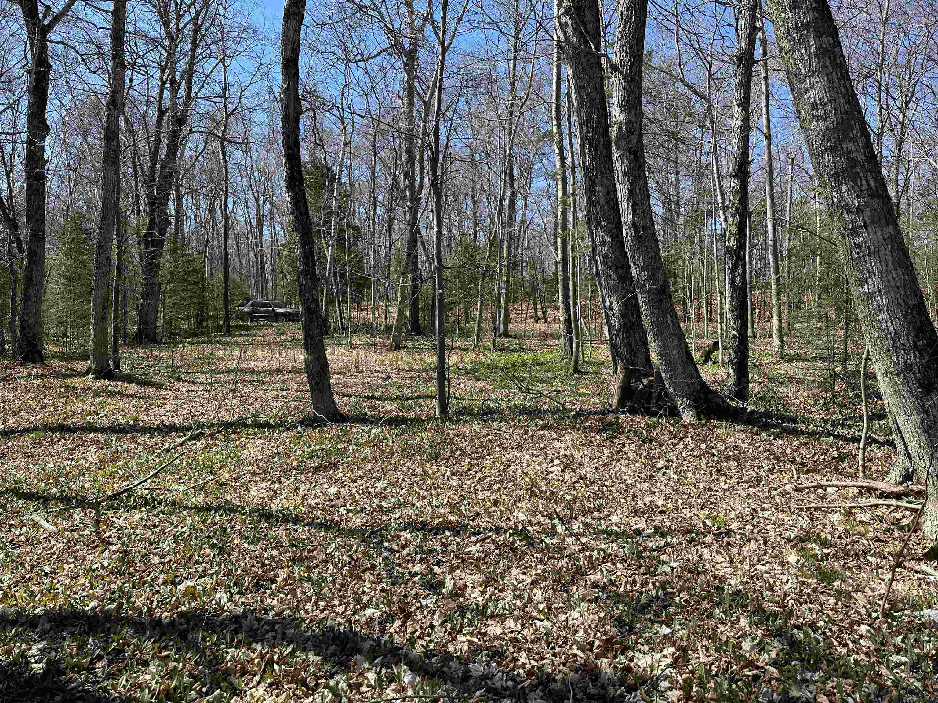 Tbd Beaver Island Road St. James Township MI 49782