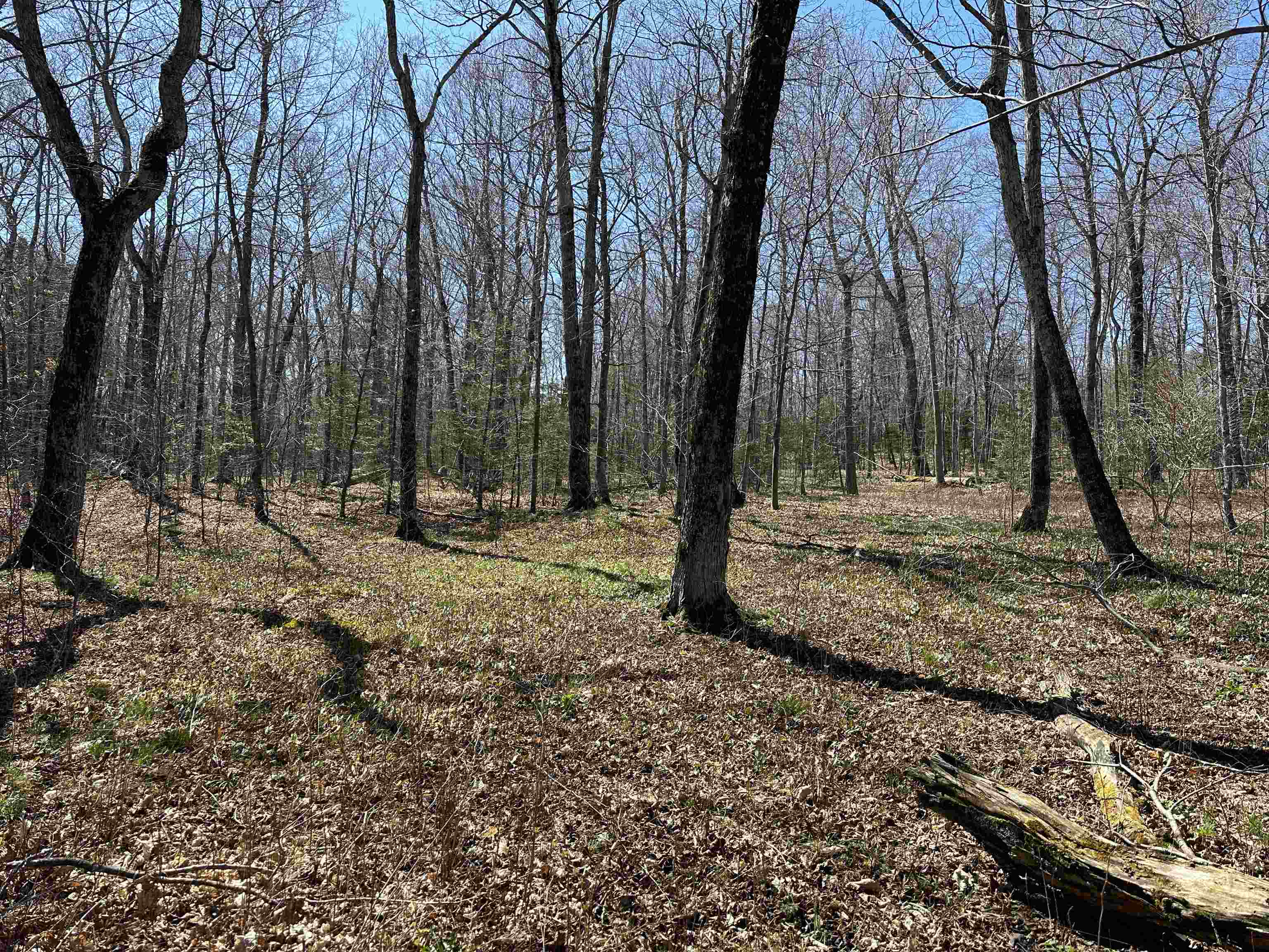 Tbd Beaver Island Road St. James Township MI 49782