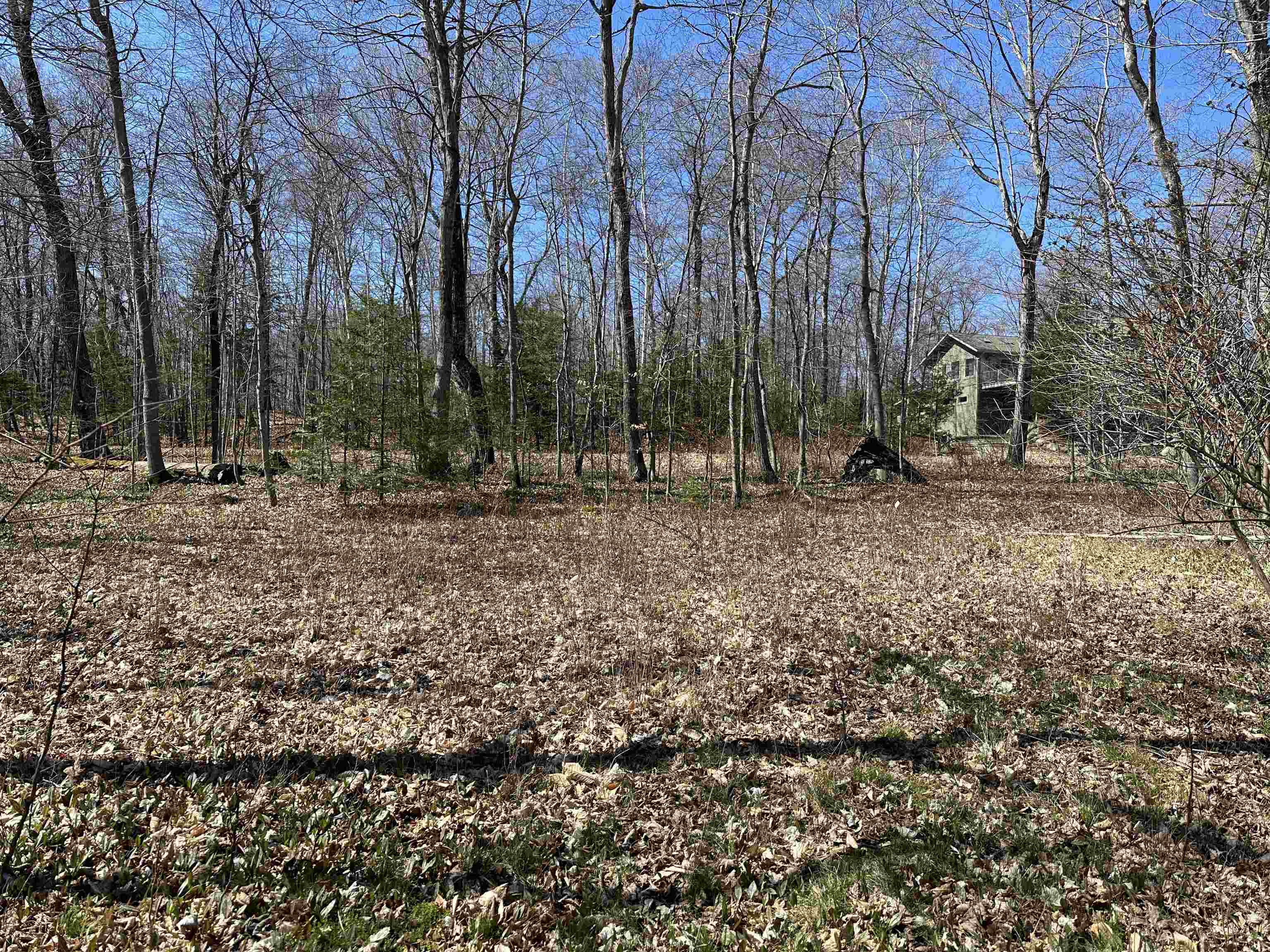 Tbd Beaver Island Road St. James Township MI 49782