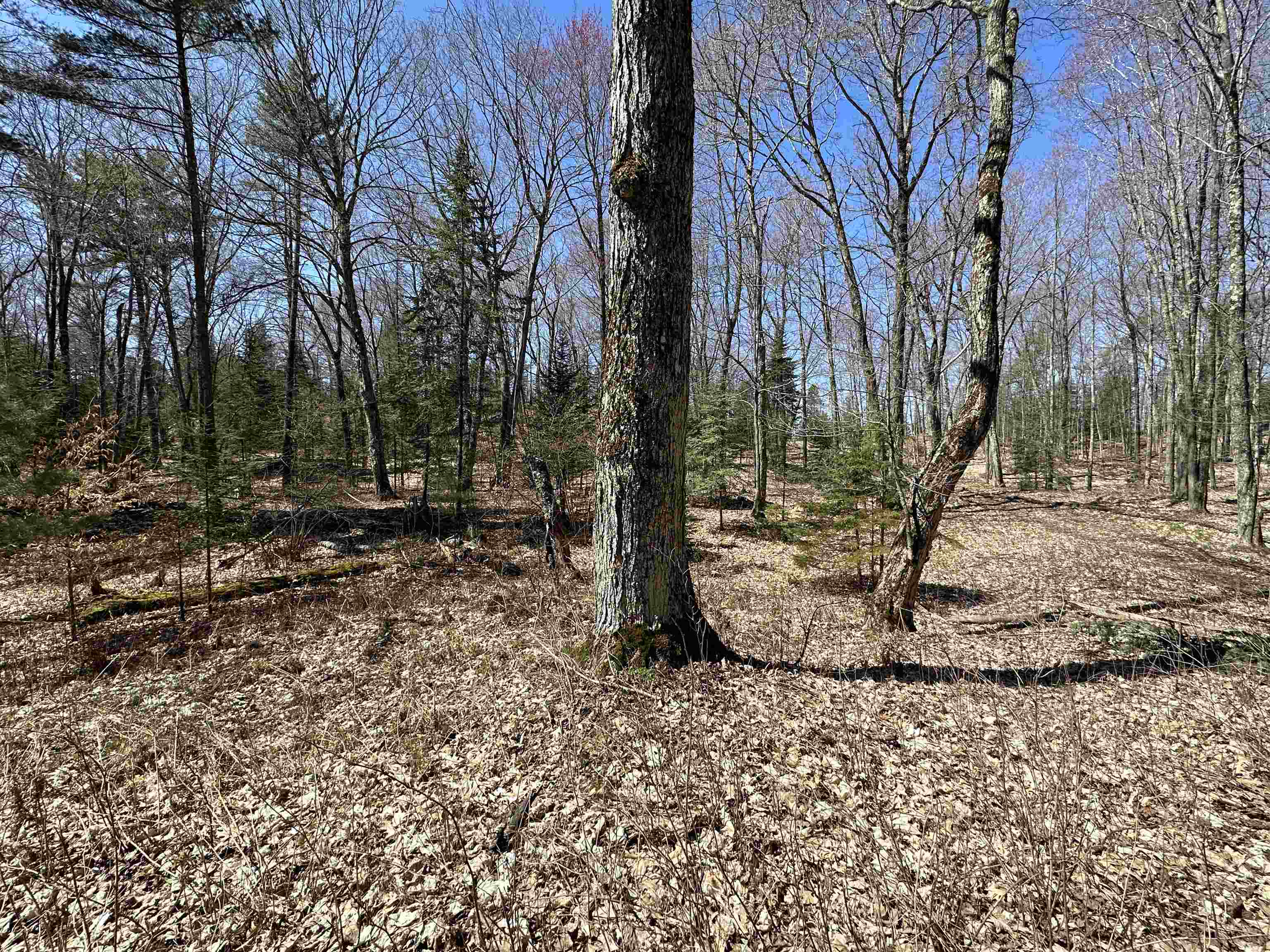 Tbd Beaver Island Road St. James Township MI 49782