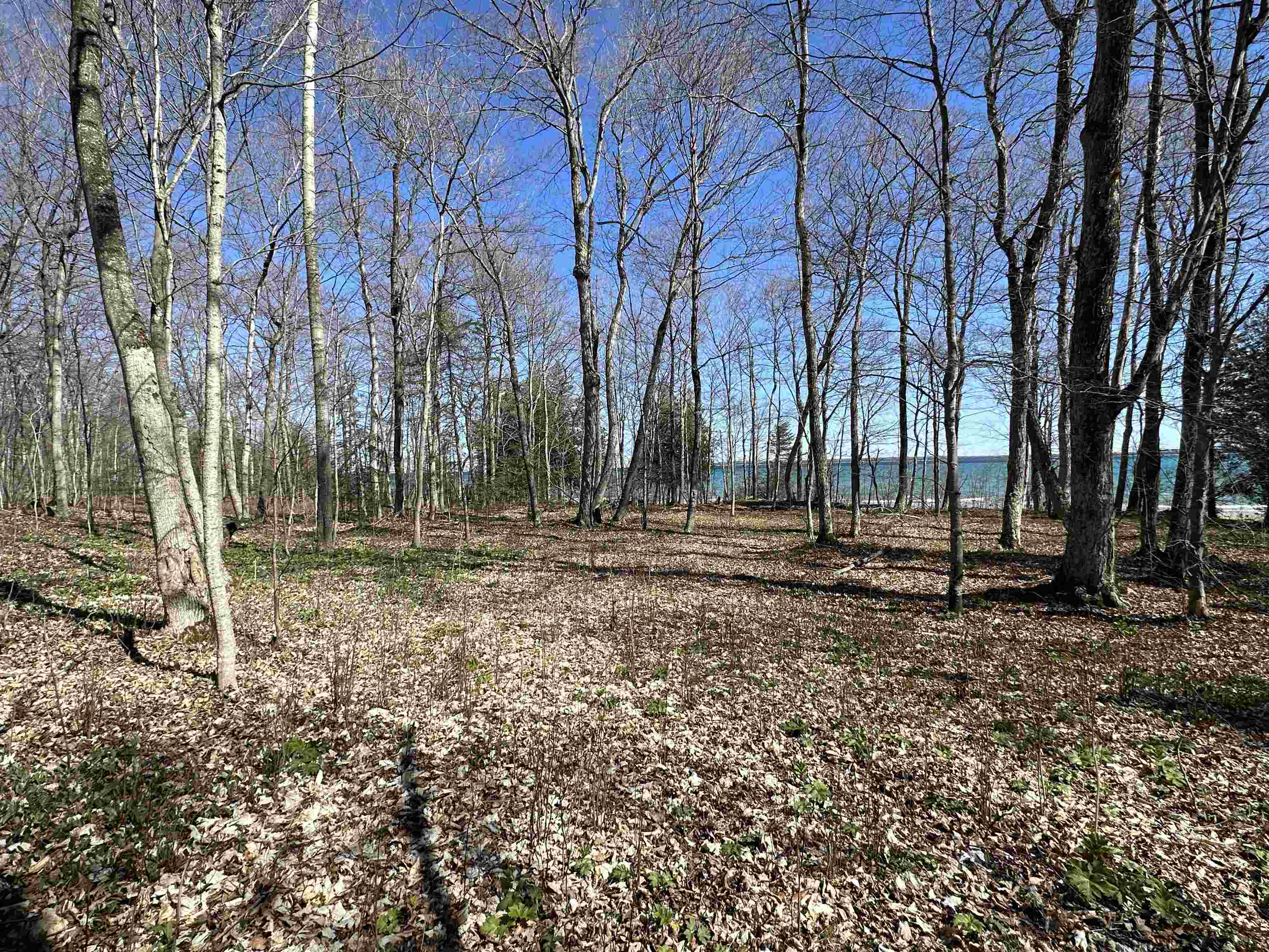 Tbd Beaver Island Road St. James Township MI 49782