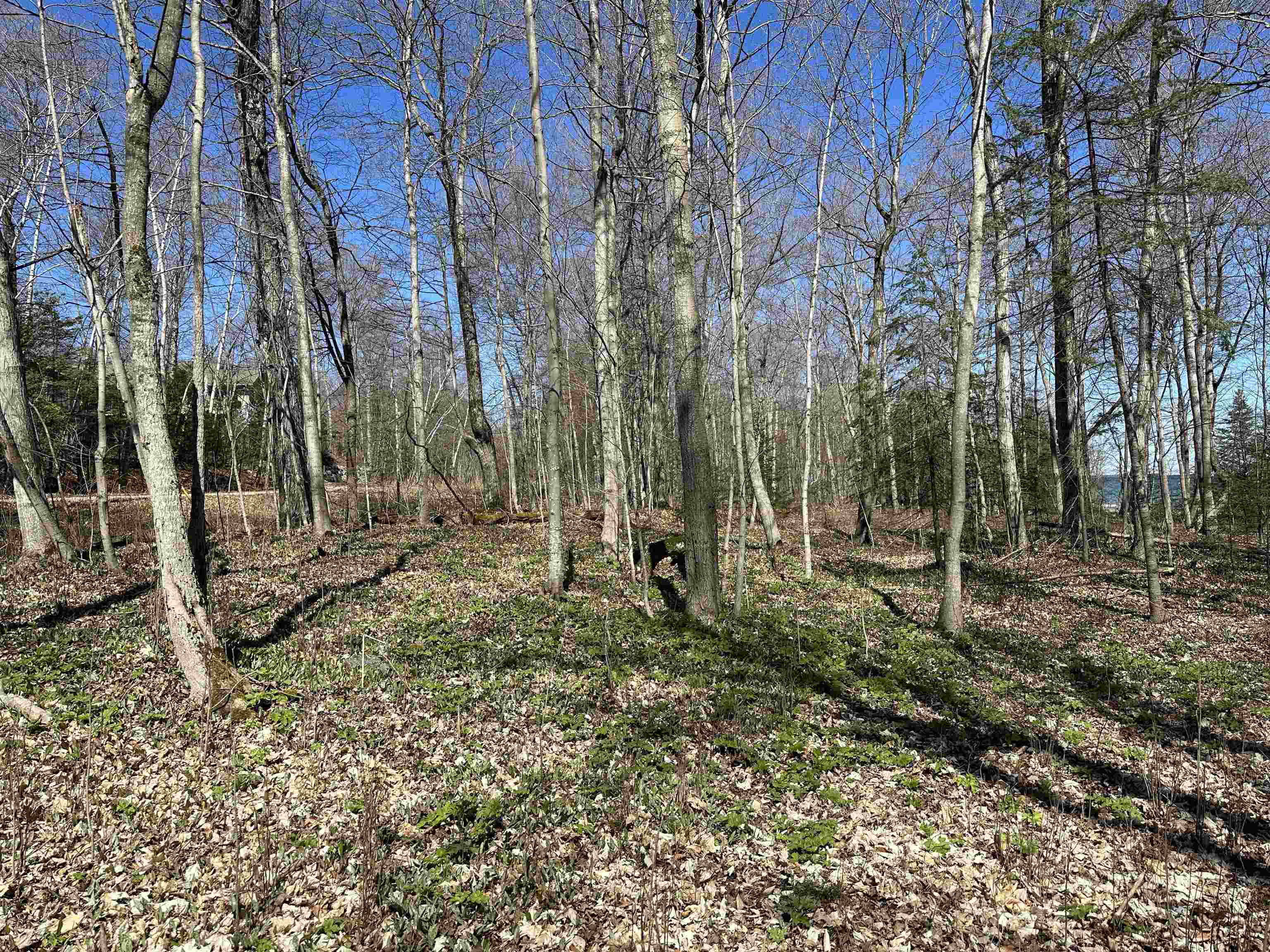 Tbd Beaver Island Road St. James Township MI 49782
