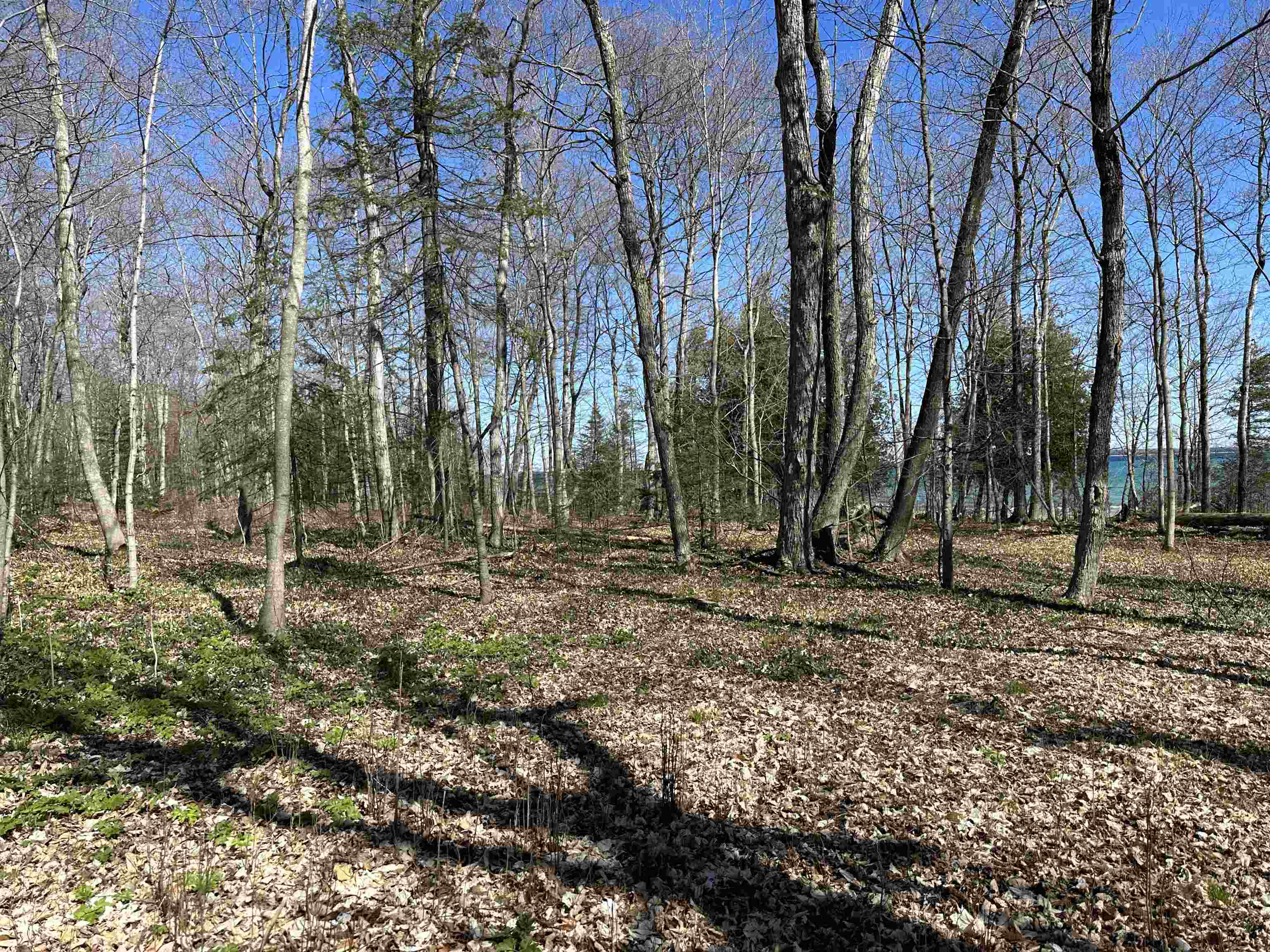 Tbd Beaver Island Road St. James Township MI 49782