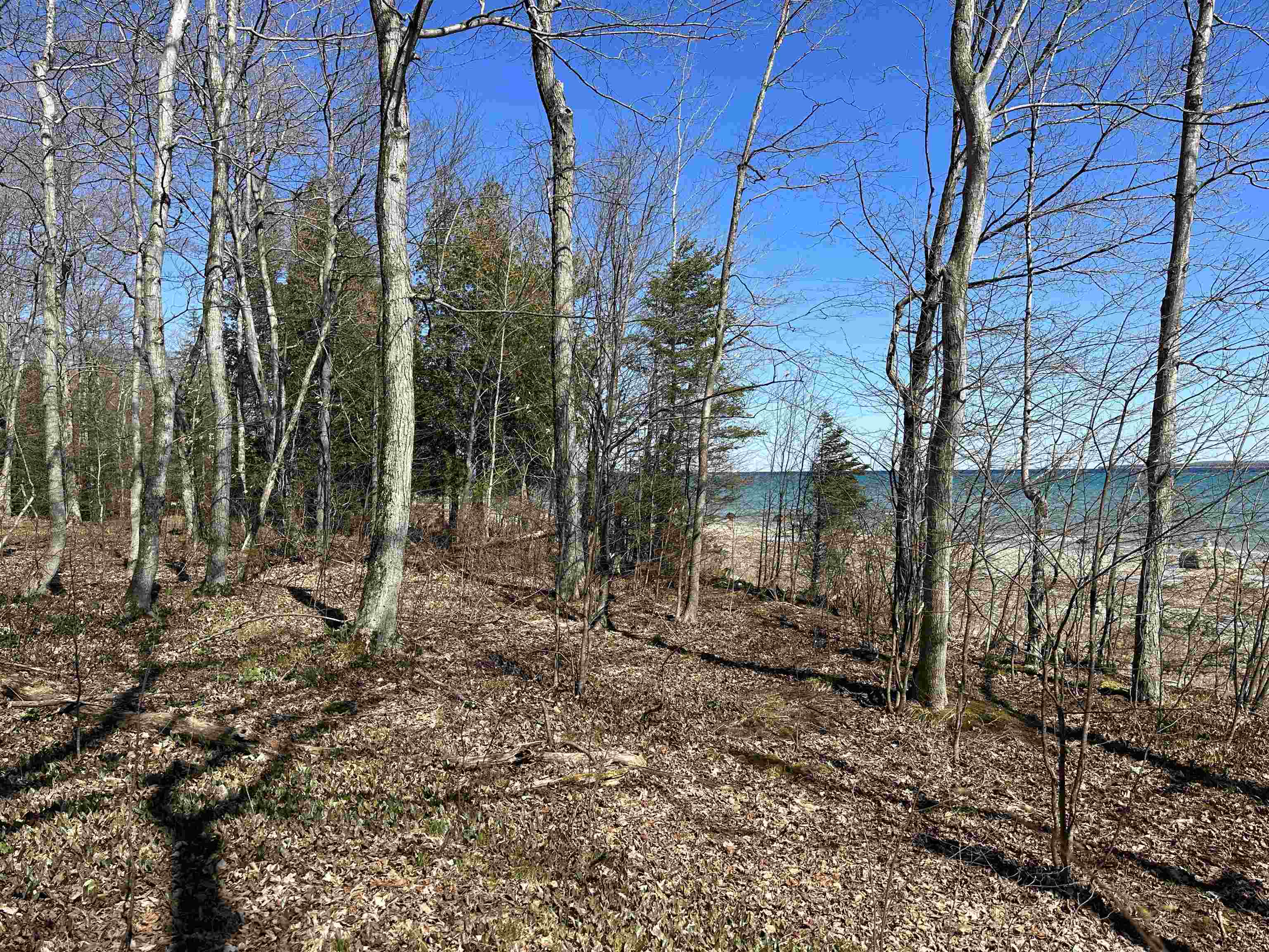 Tbd Beaver Island Road St. James Township MI 49782