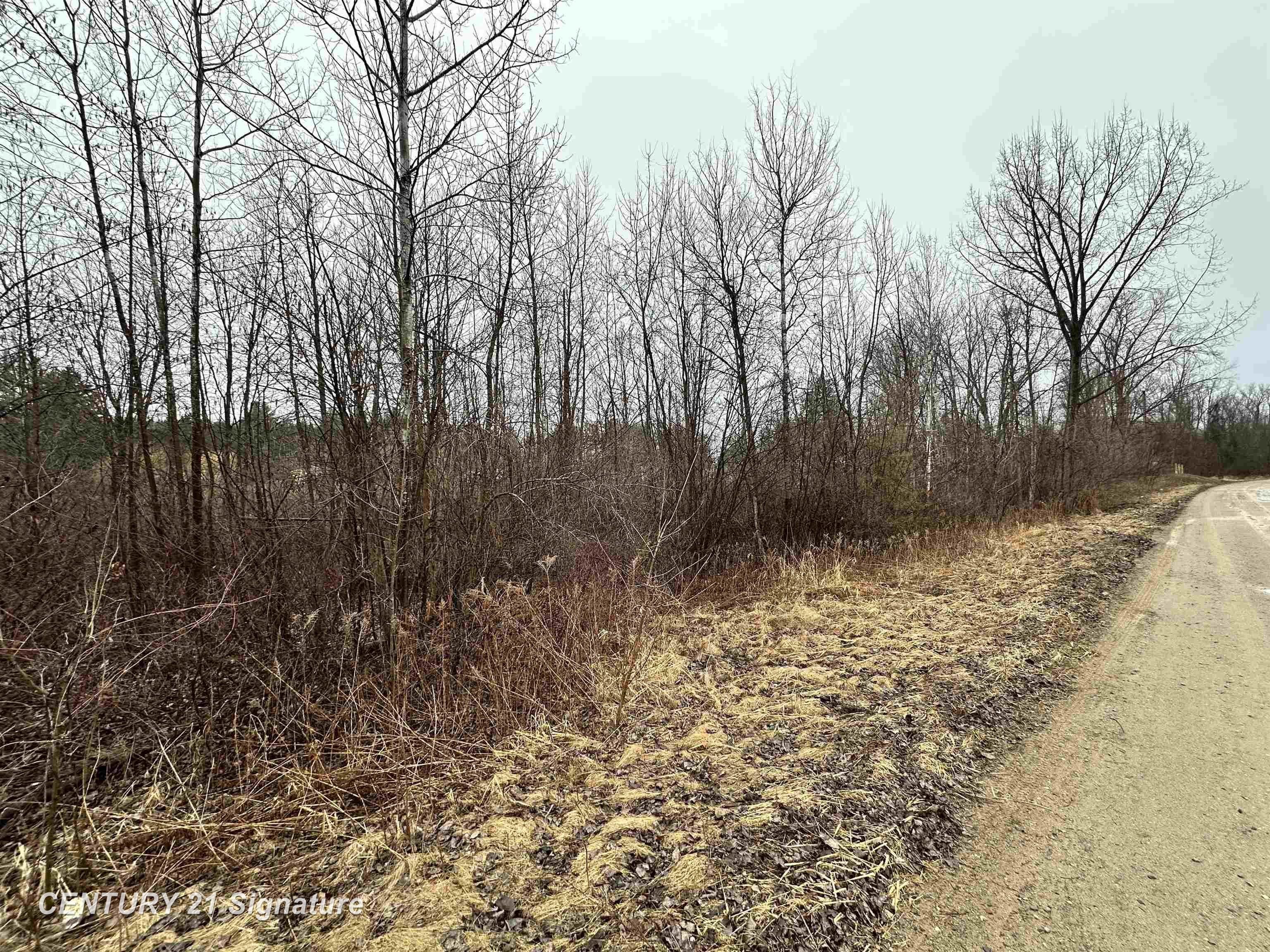 4019 Bay Avenue Billings Township MI 48612
