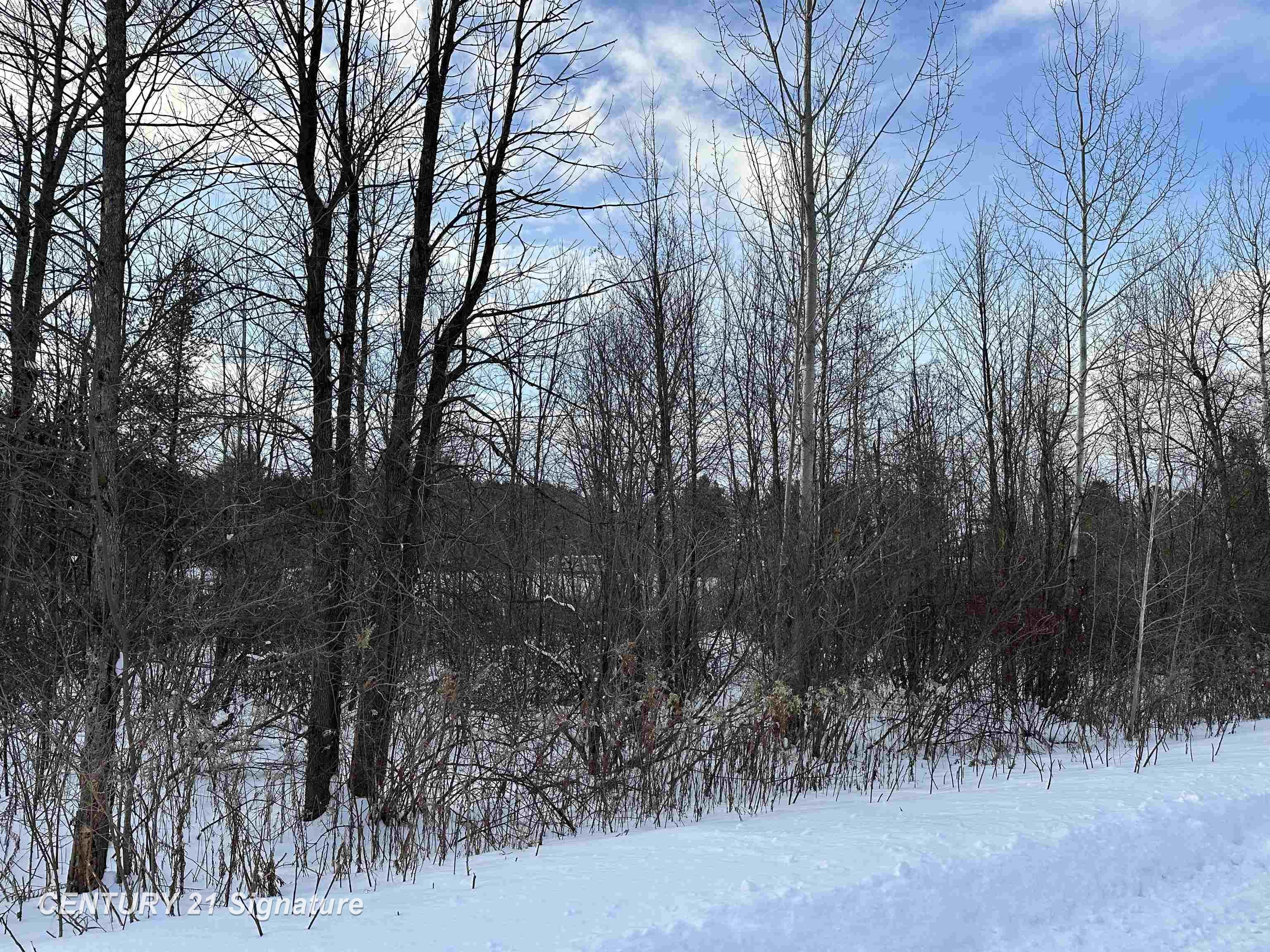 4019 Bay Avenue Billings Township MI 48612