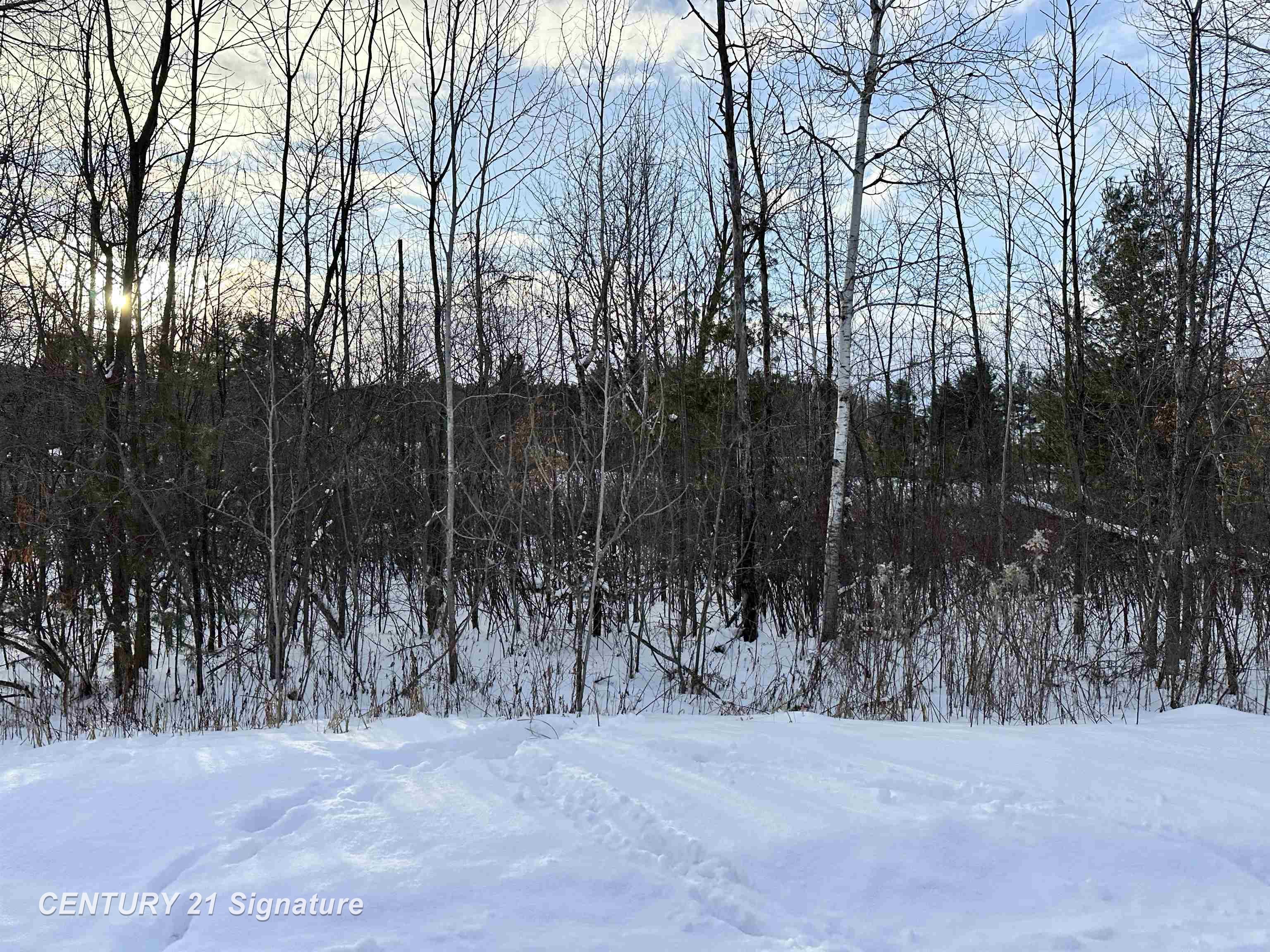 4019 Bay Avenue Billings Township MI 48612