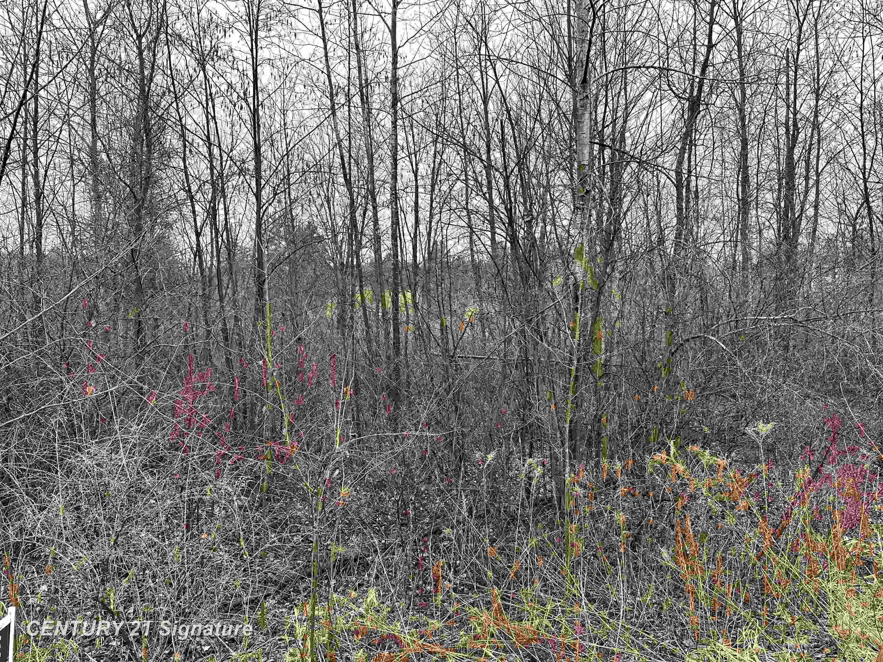 4019 Bay Avenue Billings Township MI 48612