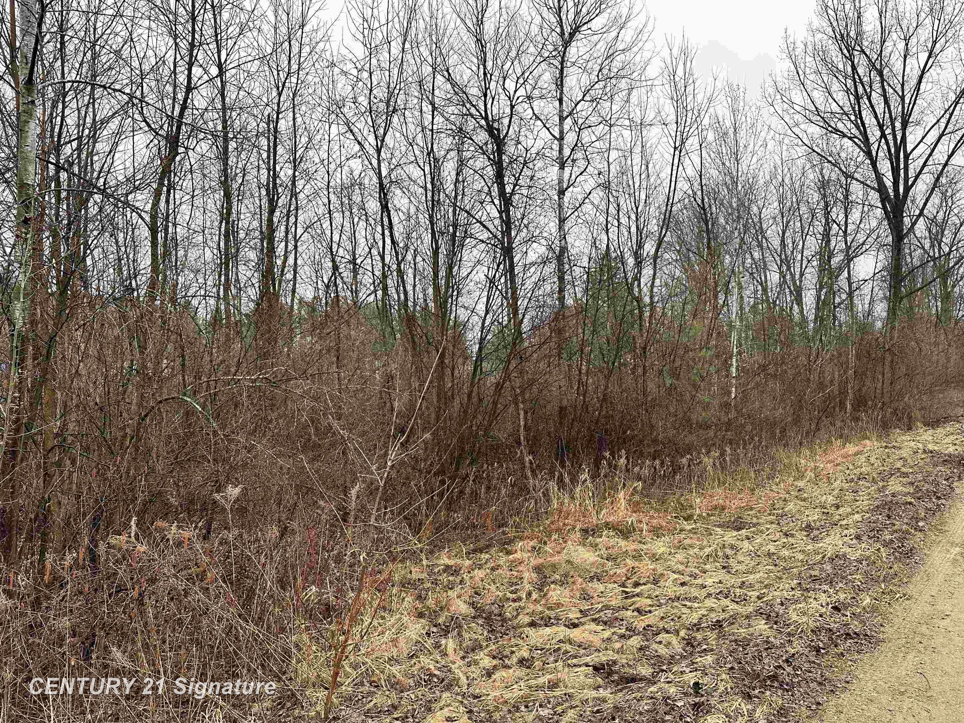 4019 Bay Avenue Billings Township MI 48612