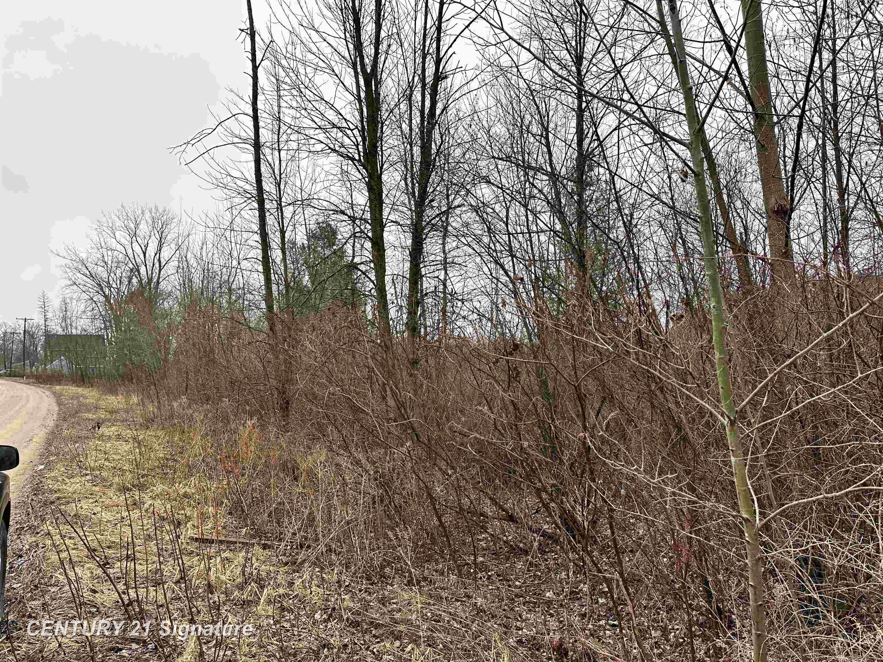 4019 Bay Avenue Billings Township MI 48612