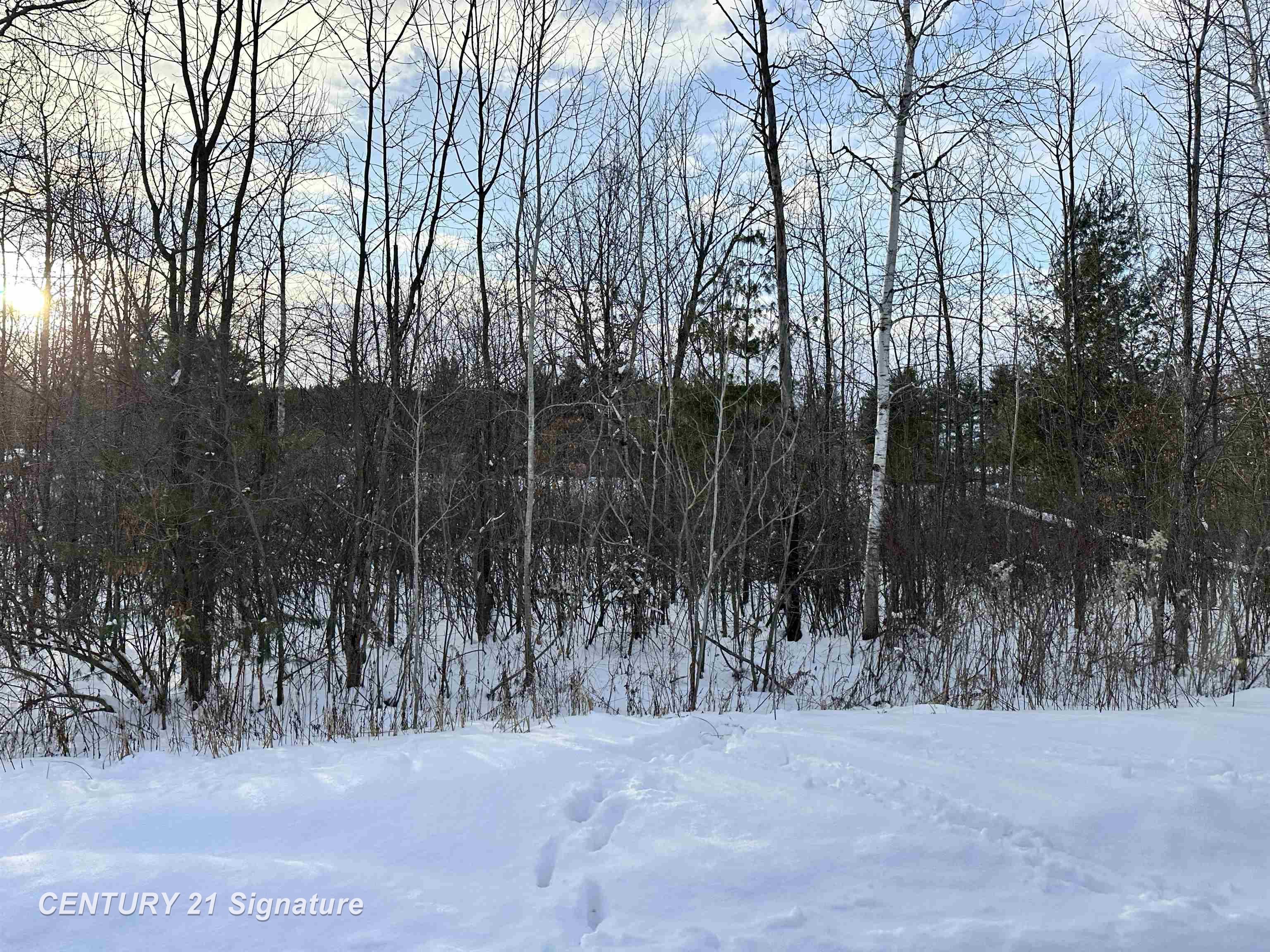4019 Bay Avenue Billings Township MI 48612