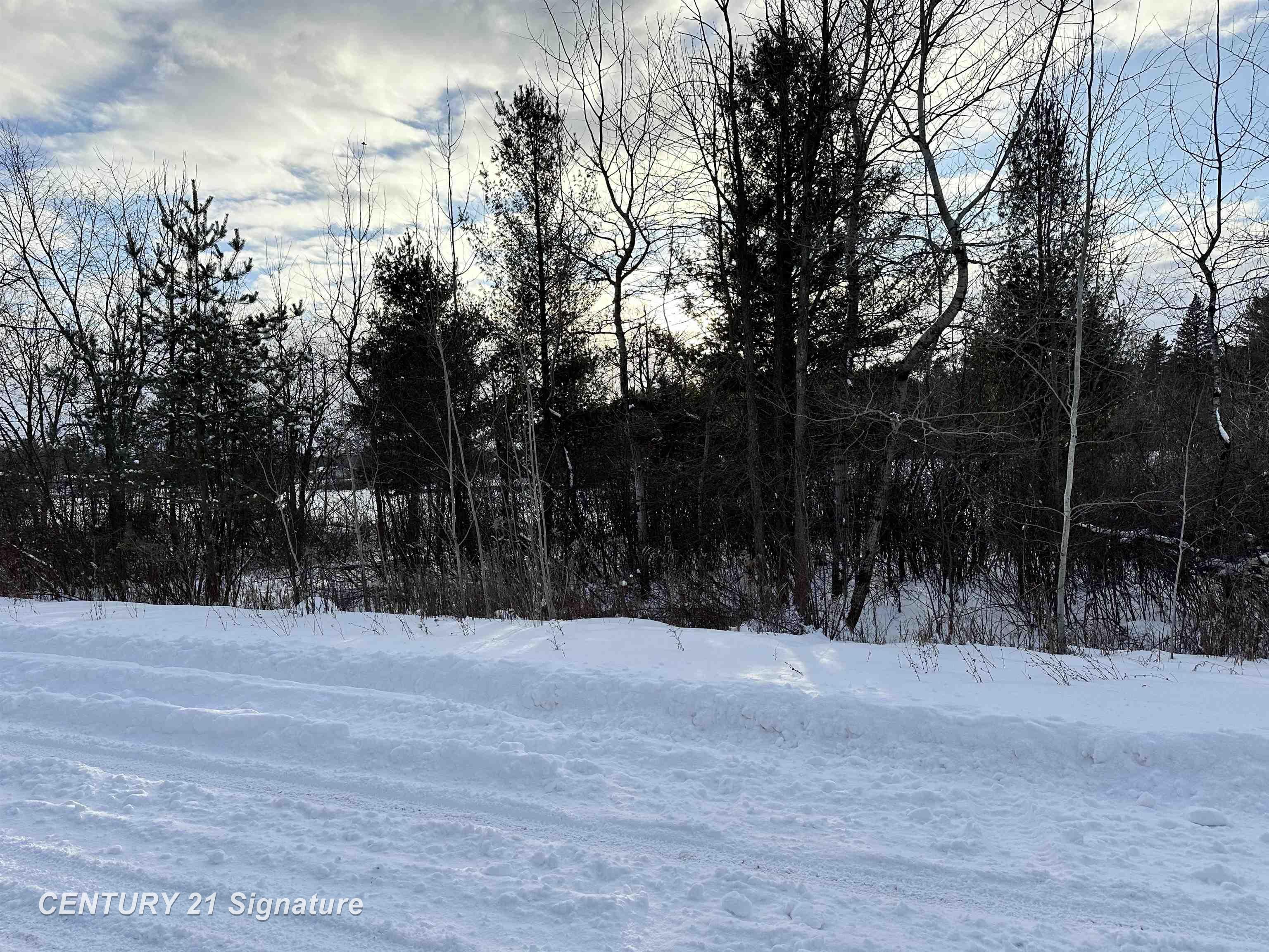 4019 Bay Avenue Billings Township MI 48612