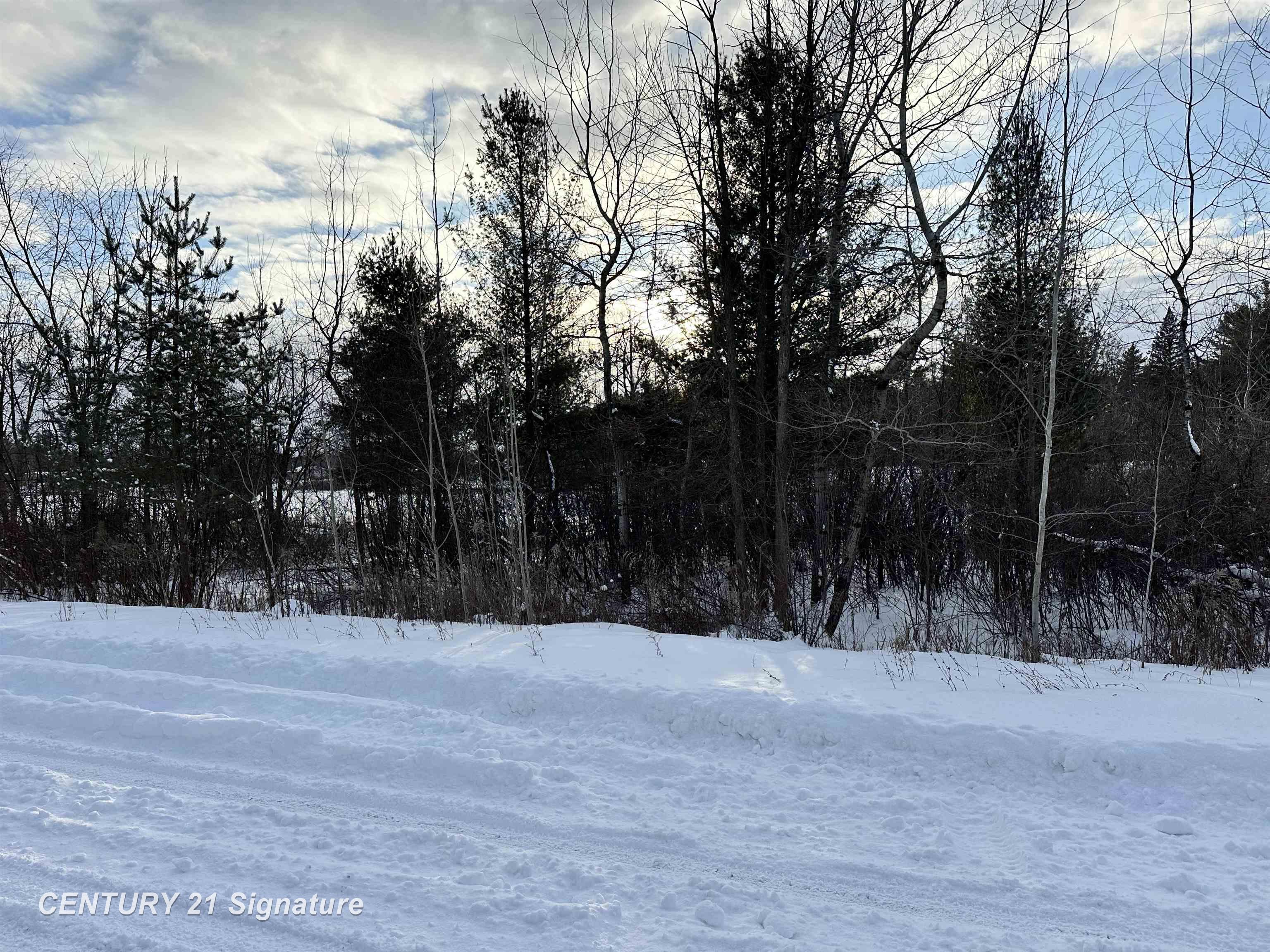 4019 Bay Avenue Billings Township MI 48612