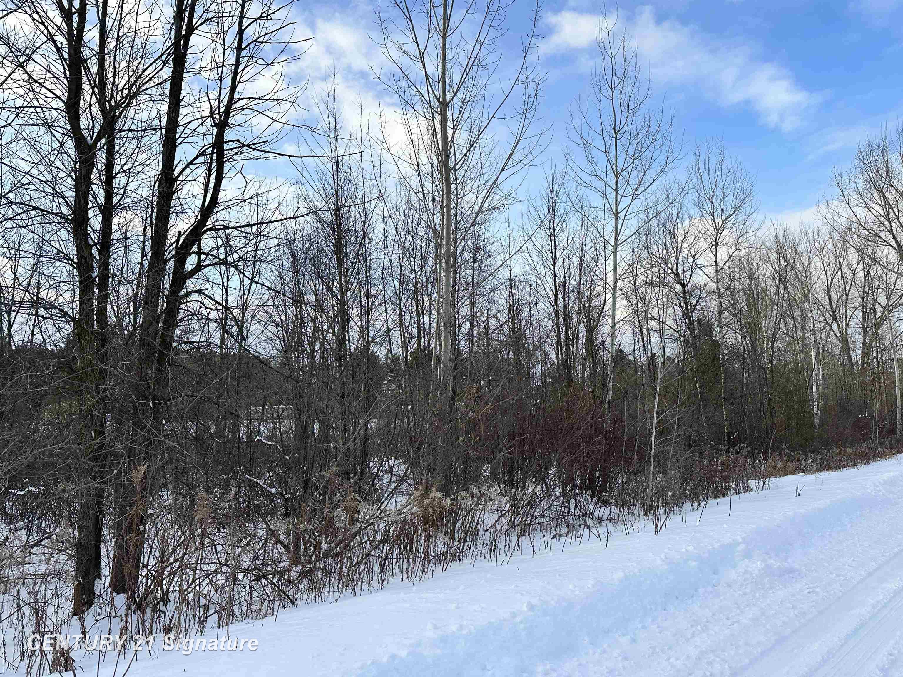 4019 Bay Avenue Billings Township MI 48612