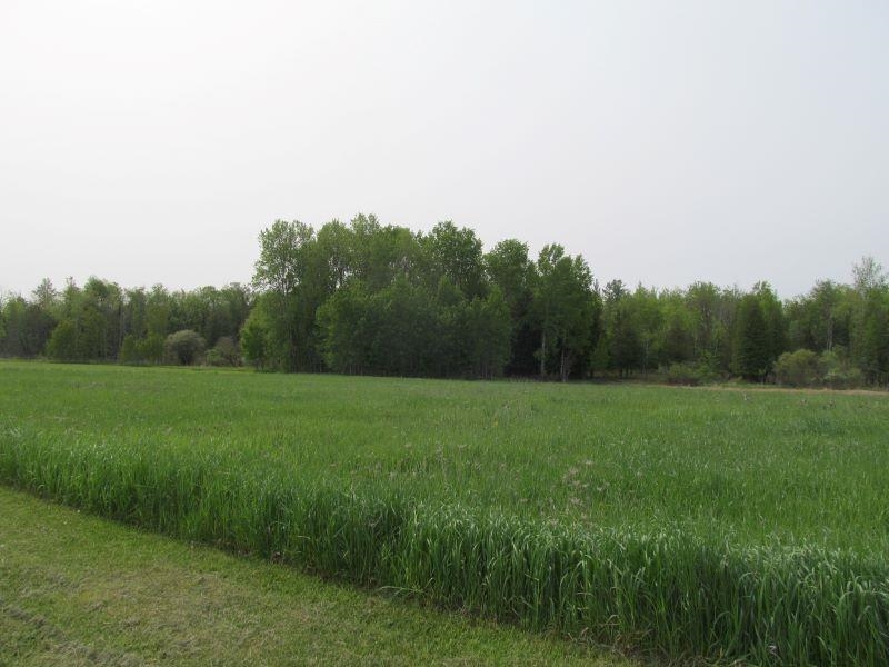 Lot #8 S Hemlock Street Riverside Township MI 49657