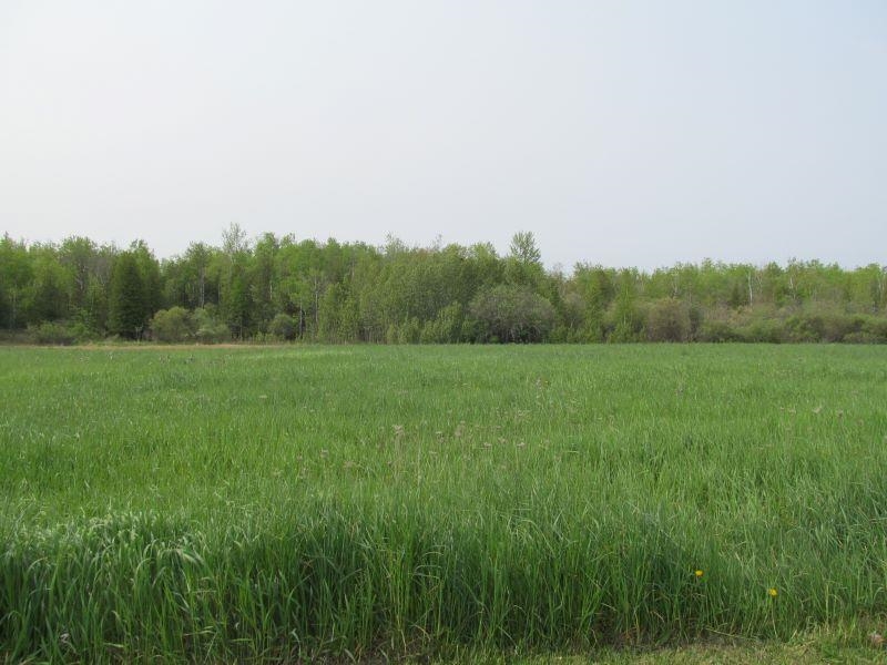 Lot #8 S Hemlock Street Riverside Township MI 49657