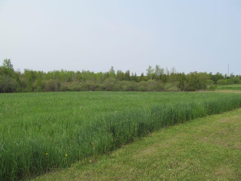 Lot #8 S Hemlock Street Riverside Township MI 49657