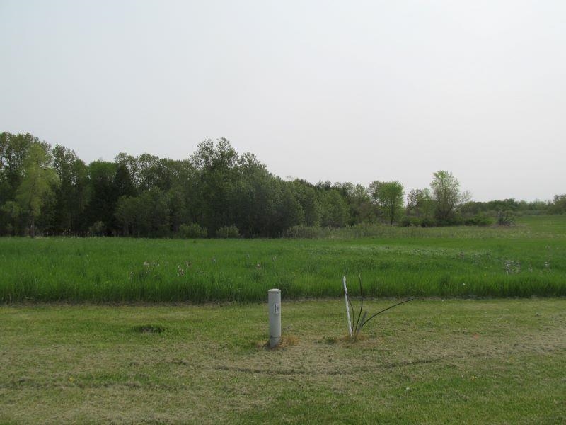 Lot #8 S Hemlock Street Riverside Township MI 49657