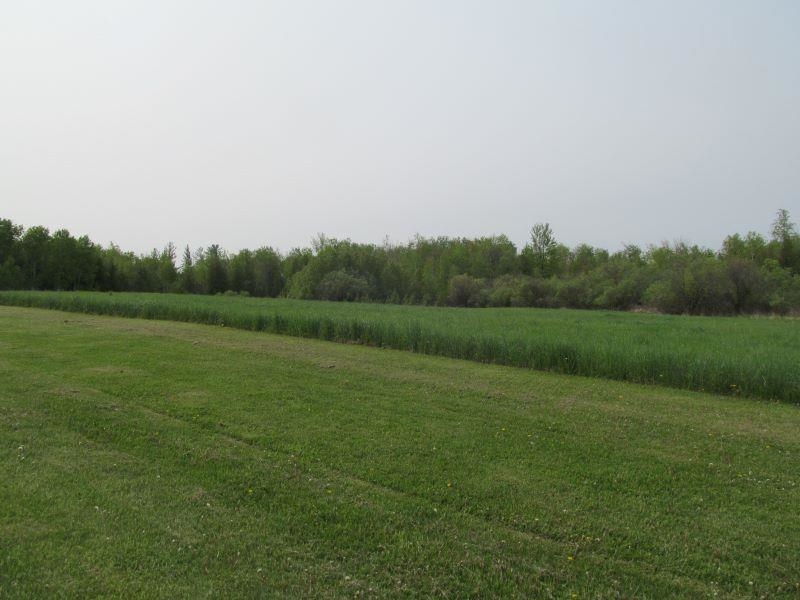 Lot #8 S Hemlock Street Riverside Township MI 49657