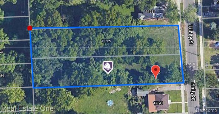 17555 Trinity Street Detroit City MI 48219
