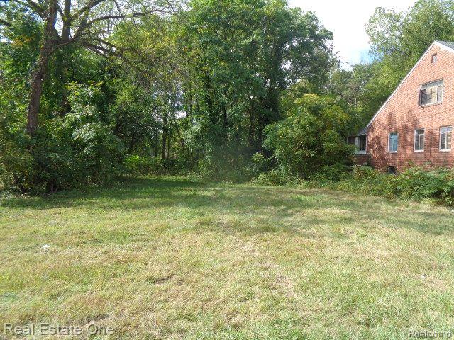 17555 Trinity Street Detroit City MI 48219