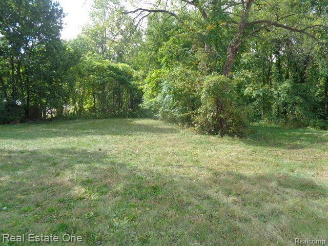 17555 Trinity Street Detroit City MI 48219