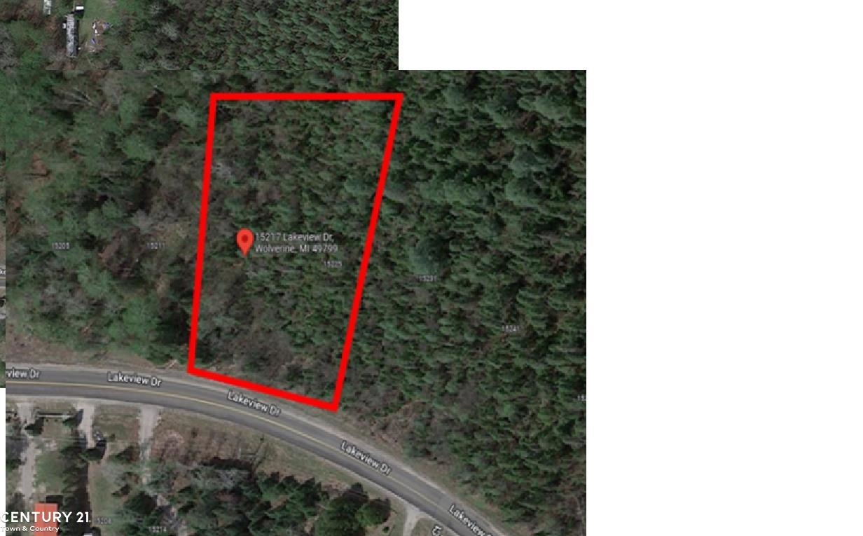 15217 Lakeview Drive Wolverine Village MI 49799