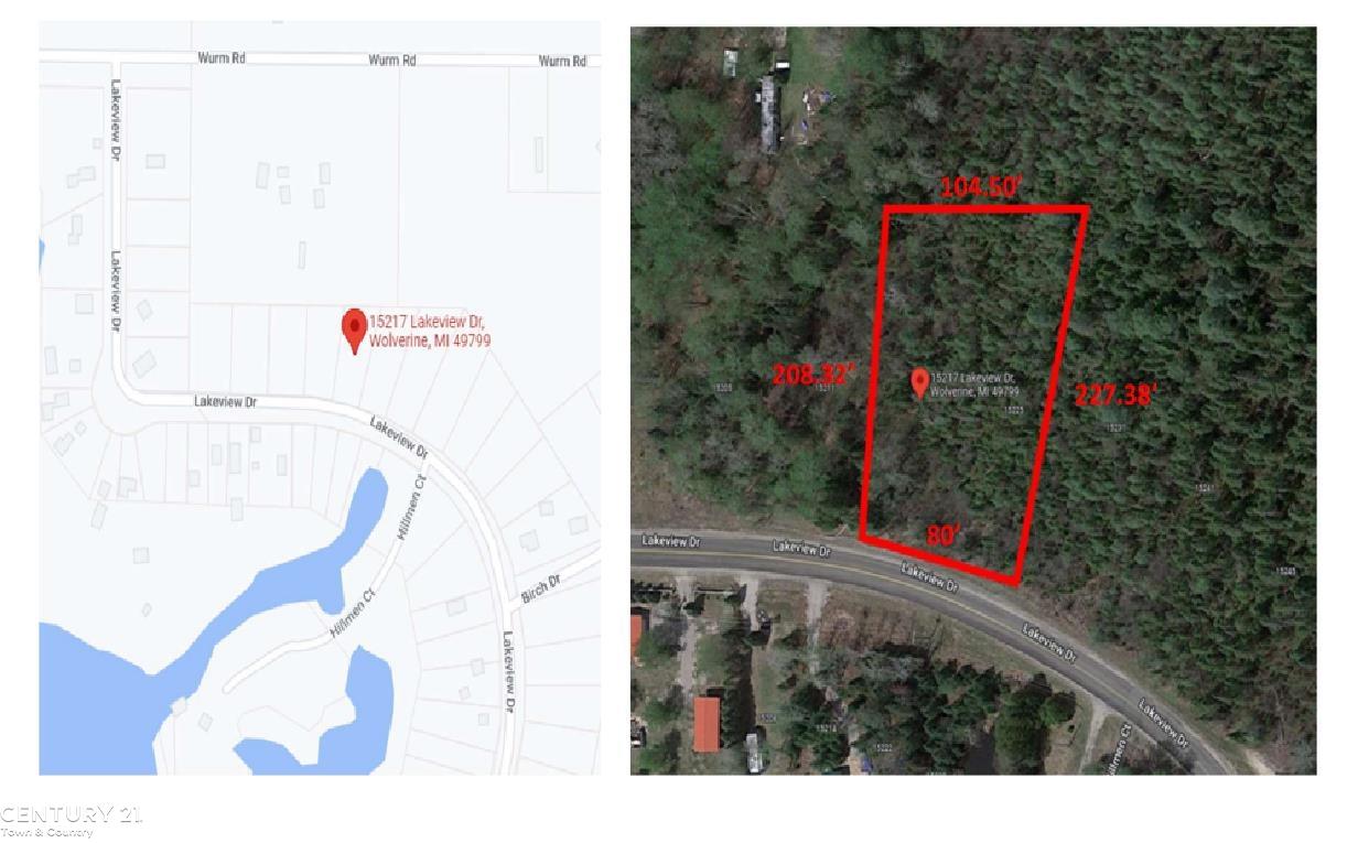 15217 Lakeview Drive Wolverine Village MI 49799