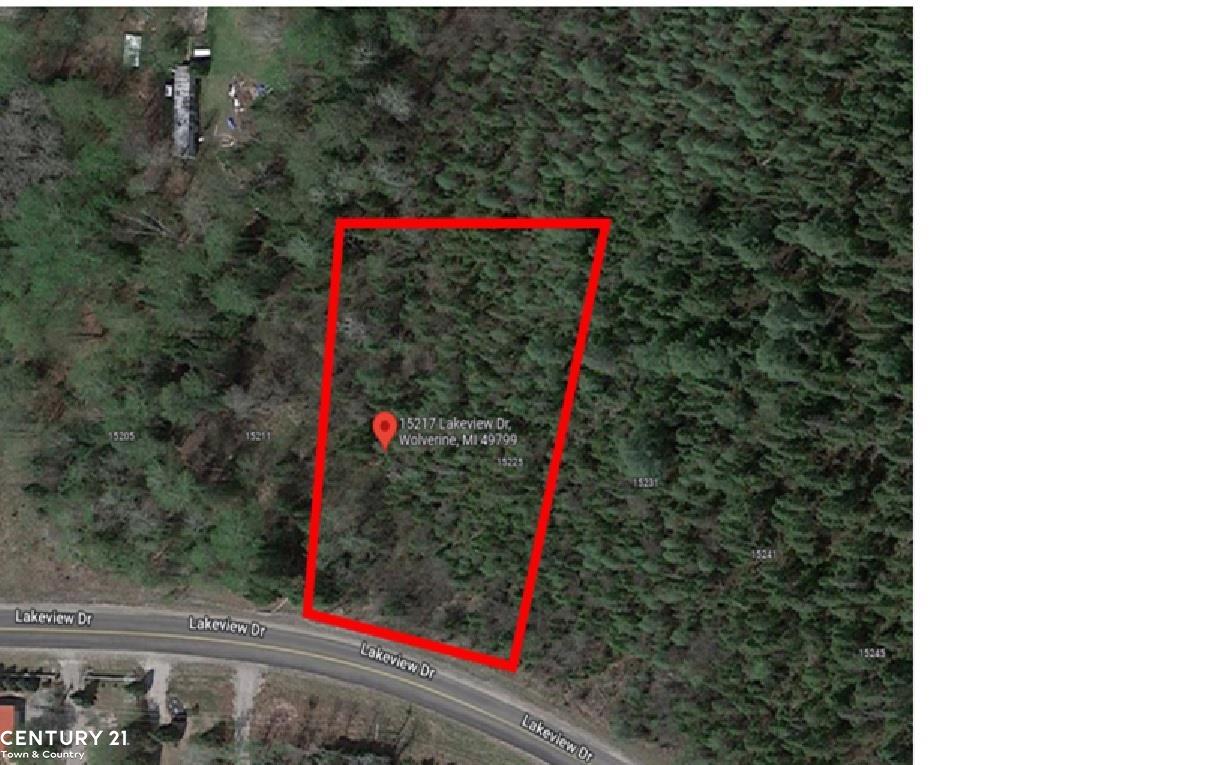 15217 Lakeview Drive Wolverine Village MI 49799