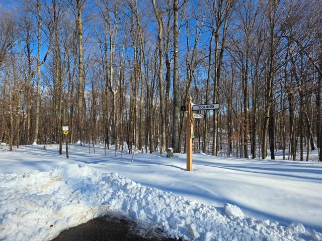 267 Congressional Drive Kearney Township MI 49615