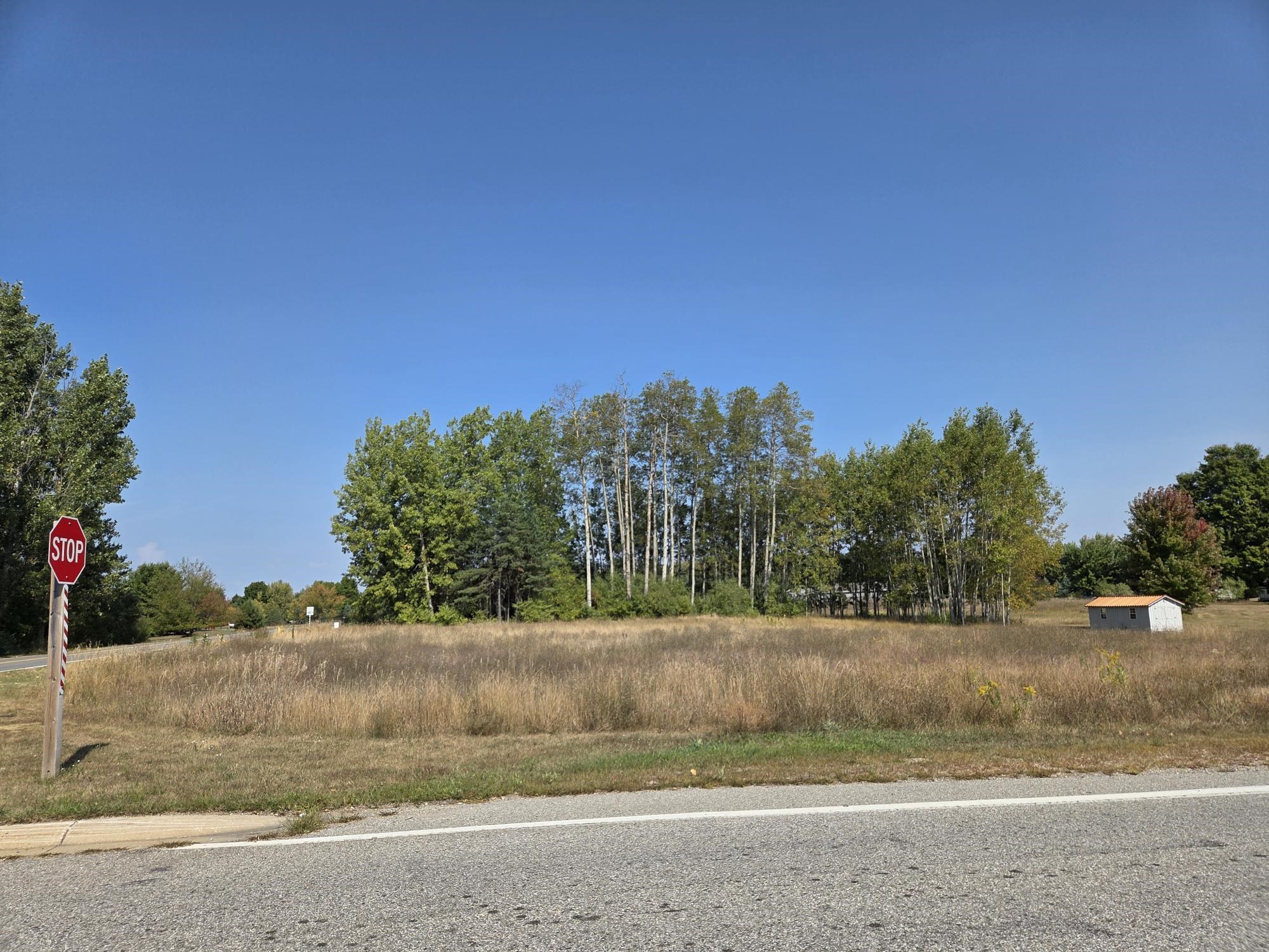 1001 El Camino Grande Lake Isabella Village MI 48893