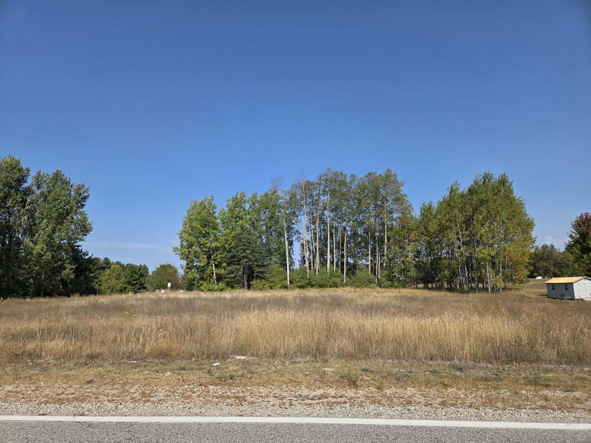 1001 El Camino Grande Lake Isabella Village MI 48893
