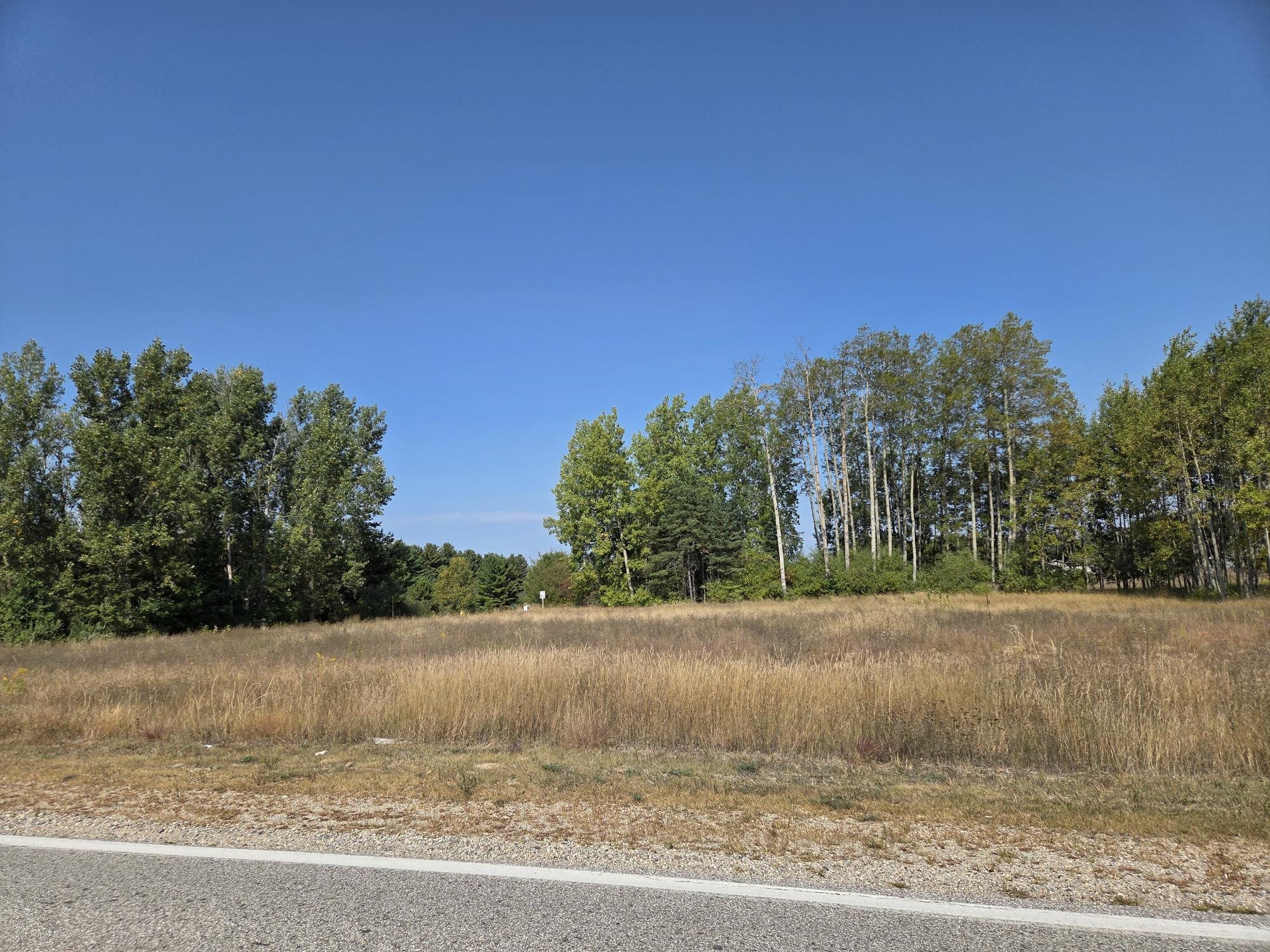1001 El Camino Grande Lake Isabella Village MI 48893